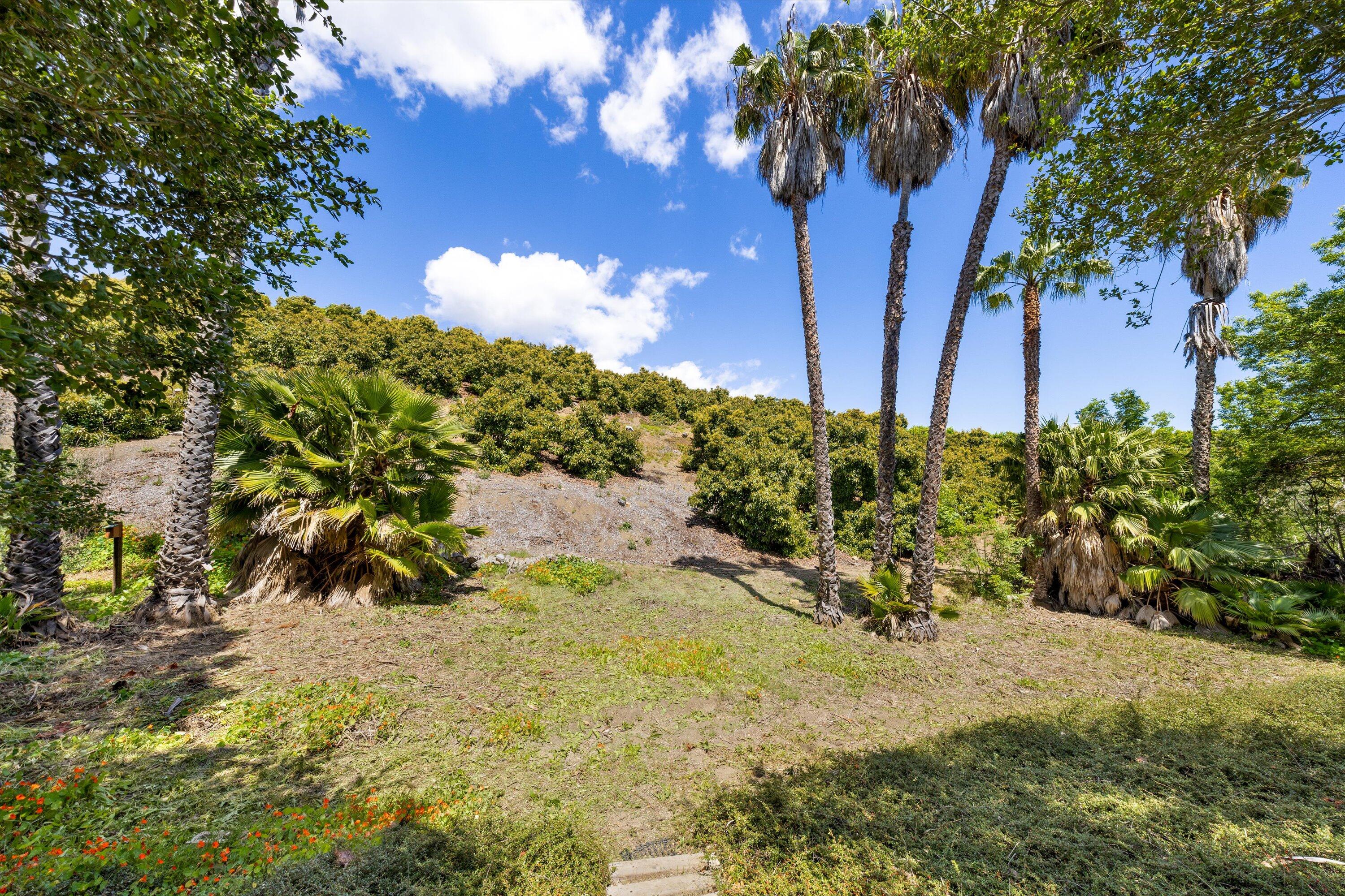 1274 Camino Meleno