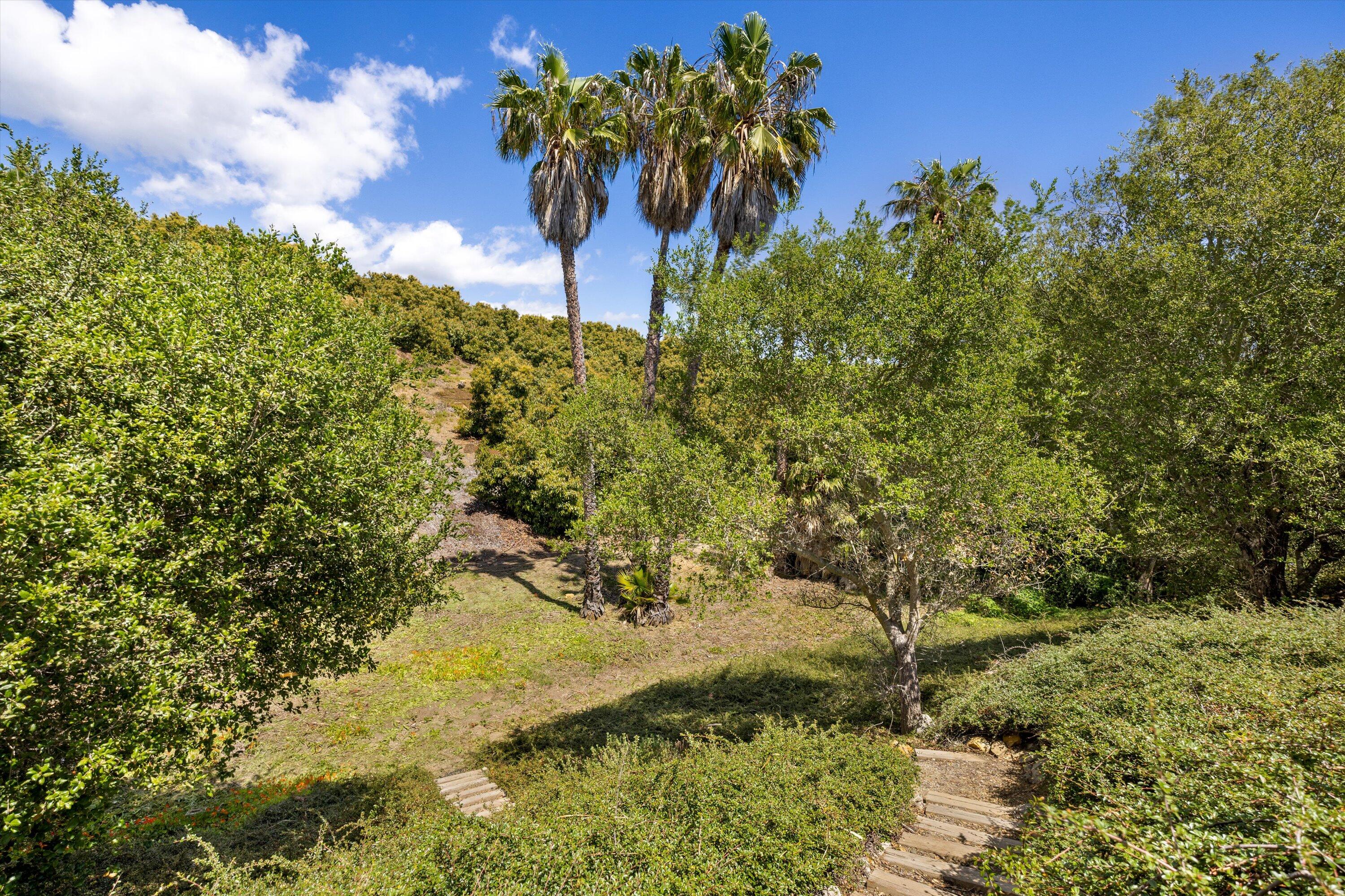1274 Camino Meleno
