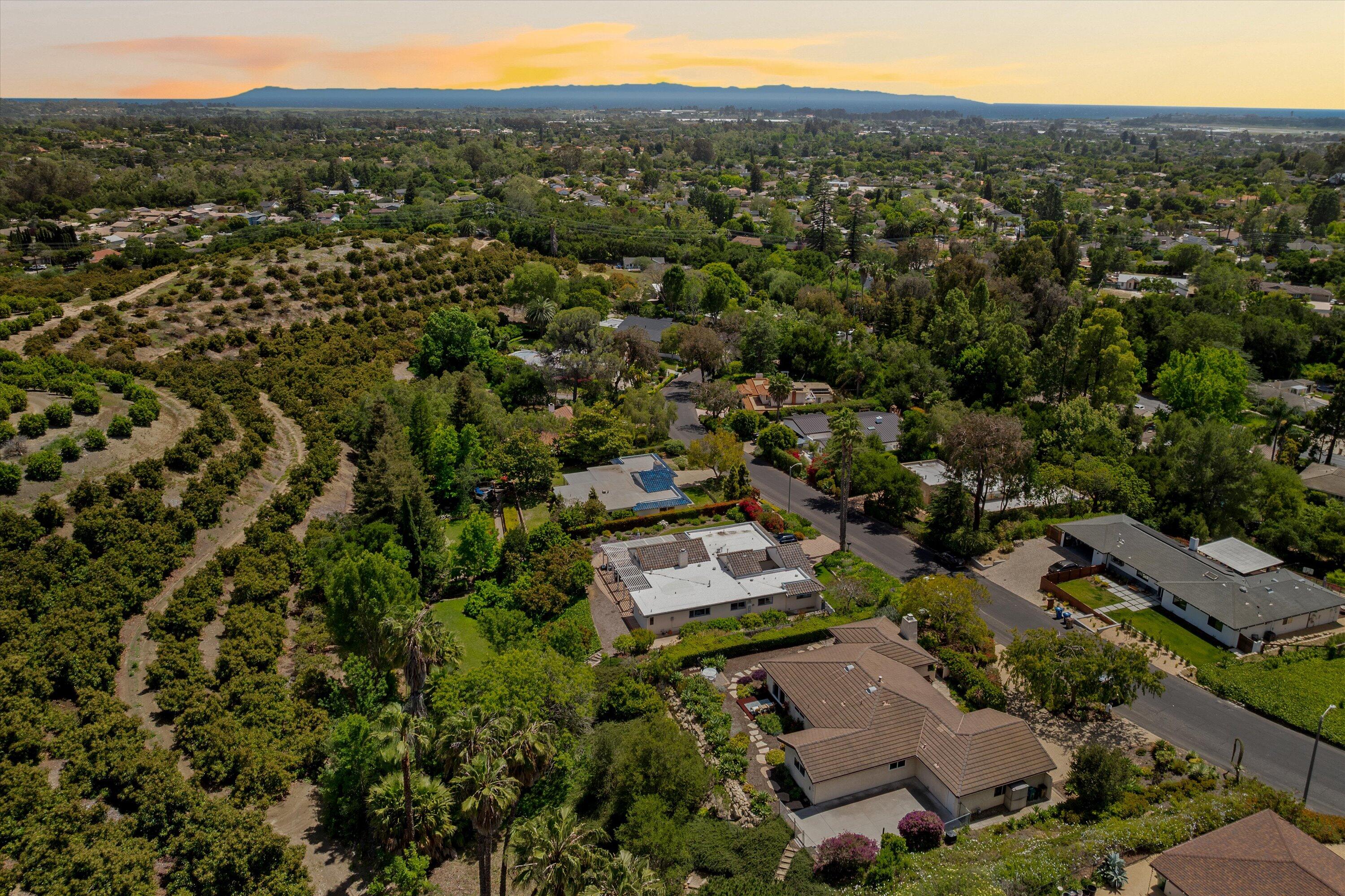 1274 Camino Meleno