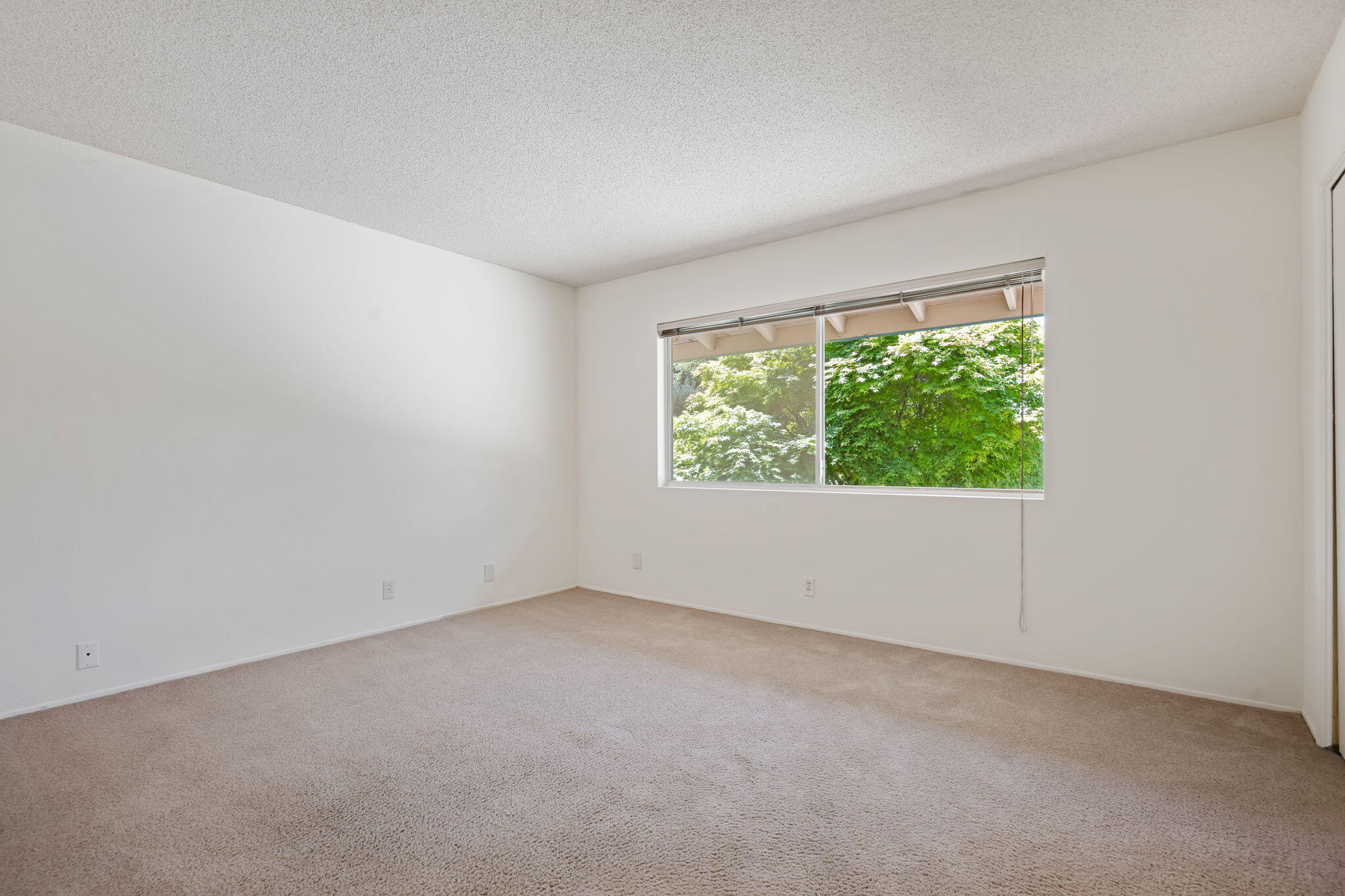 446 Stanford Place