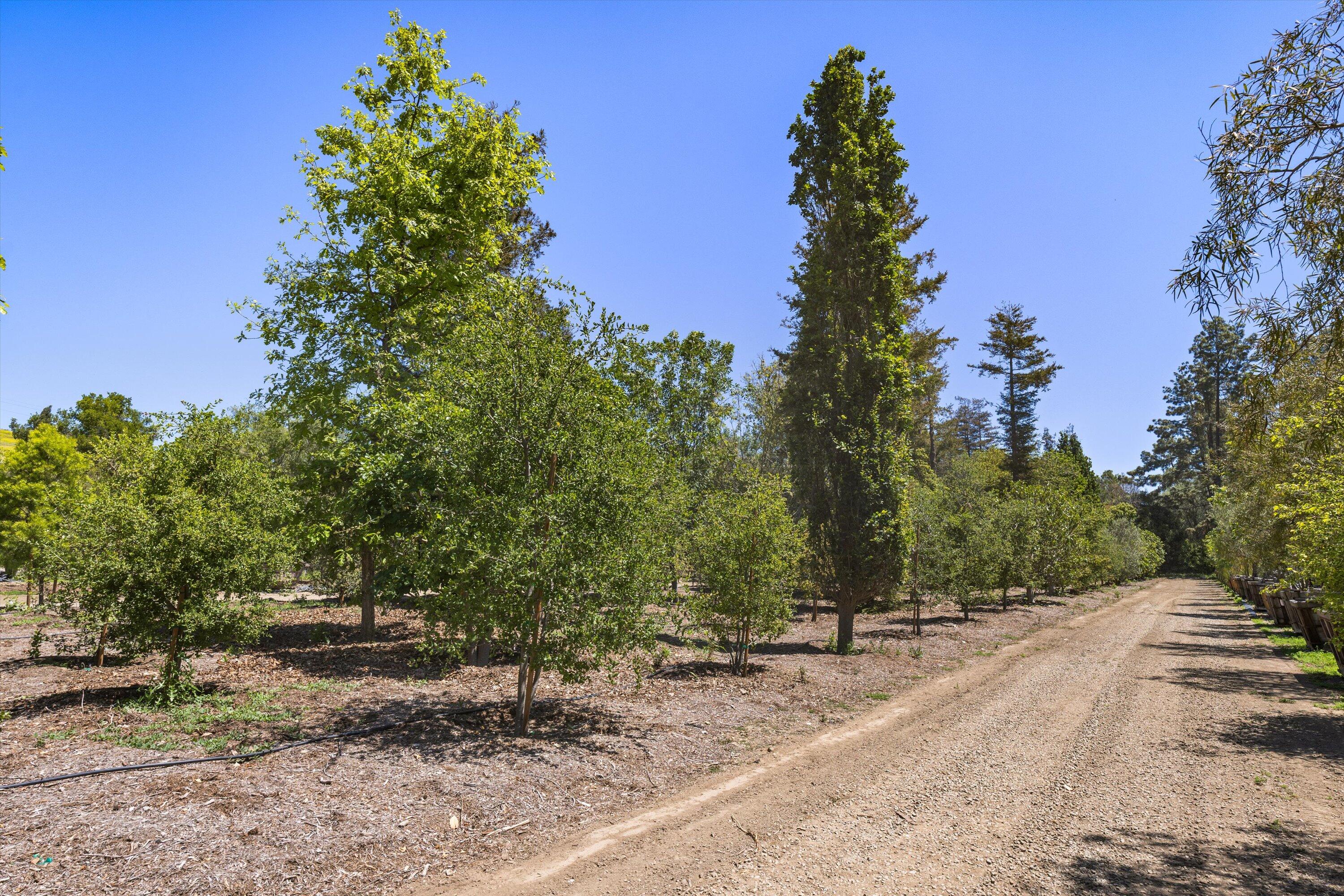 1048 E La Loma Avenue