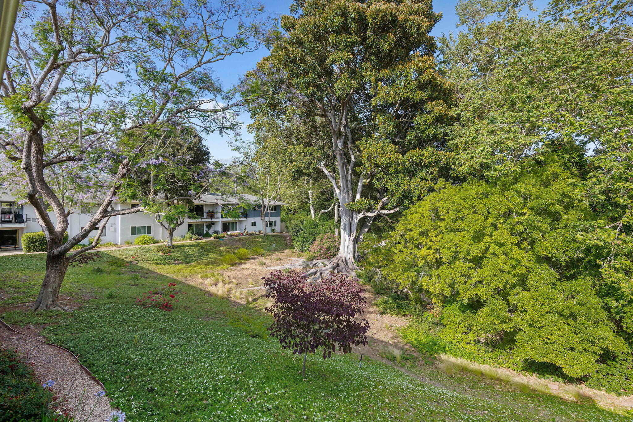 3639 San Remo Drive 15