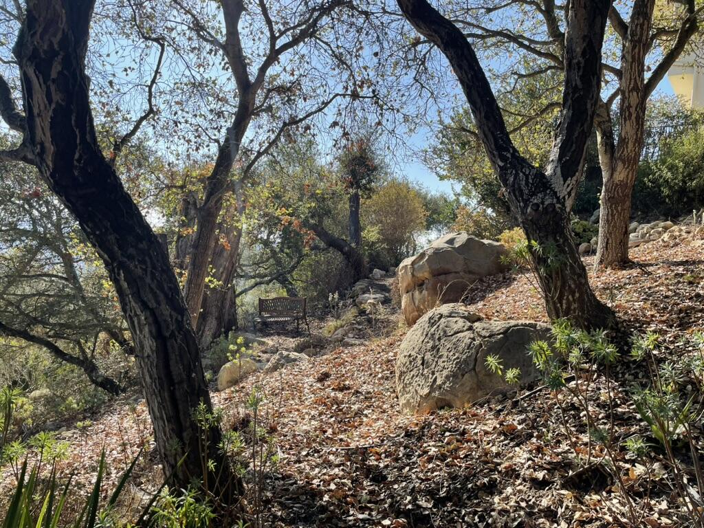 1227 Viscaino Road