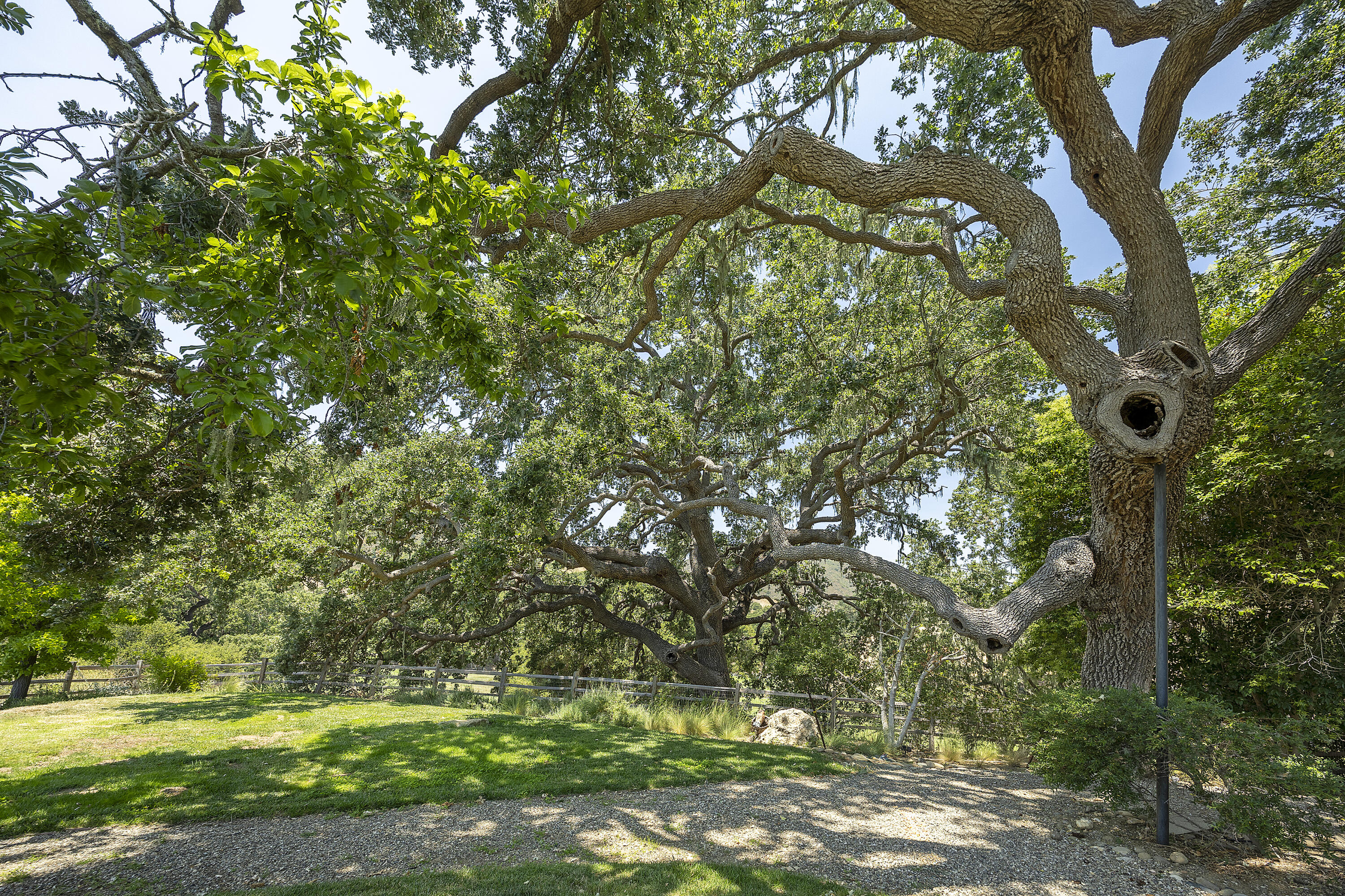 671 Rincon Drive