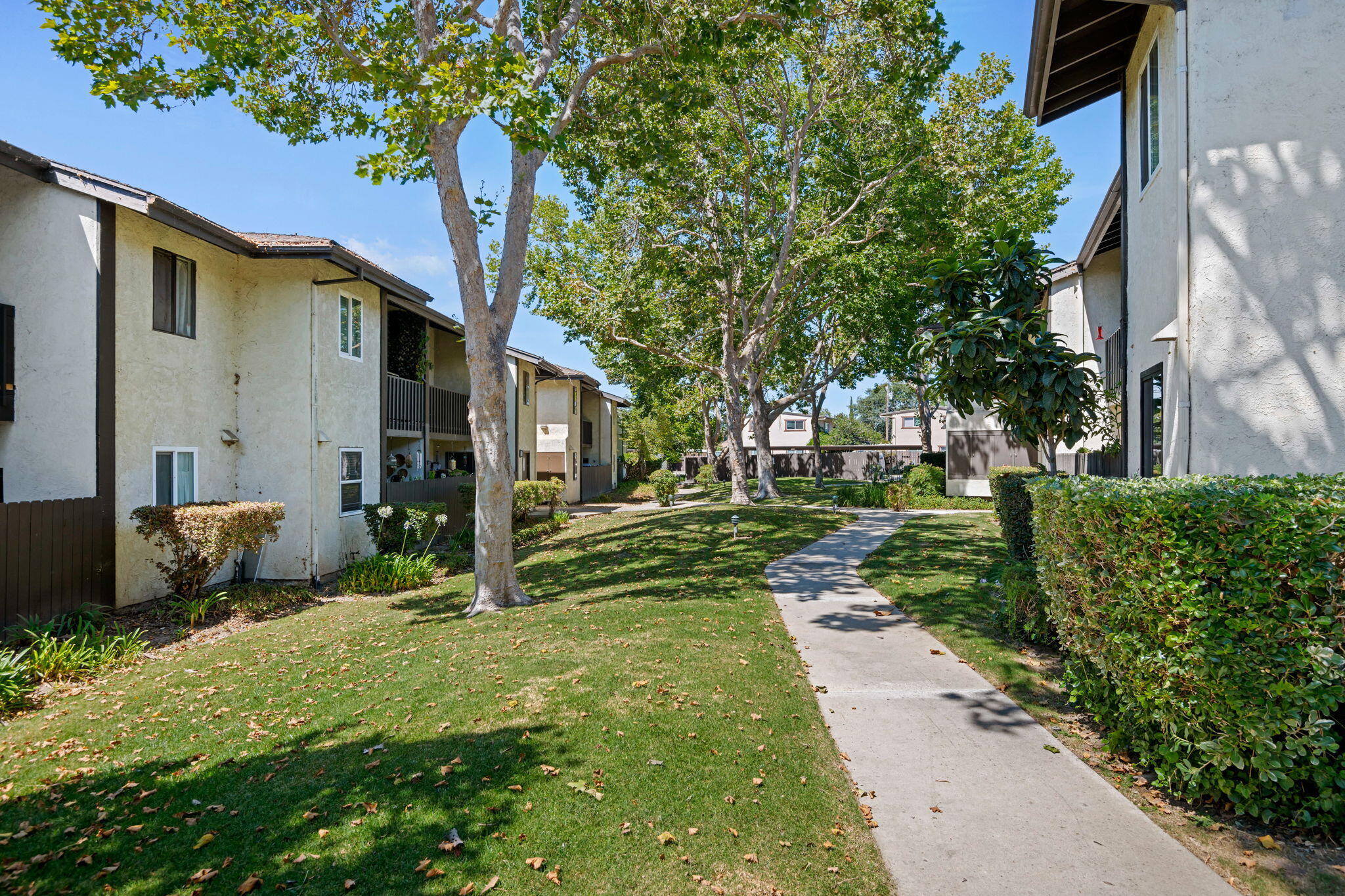 1676 Maple Avenue 4