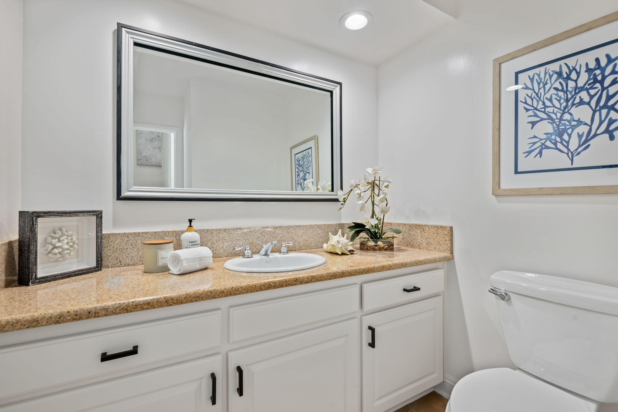 643 Costa Del Mar #D