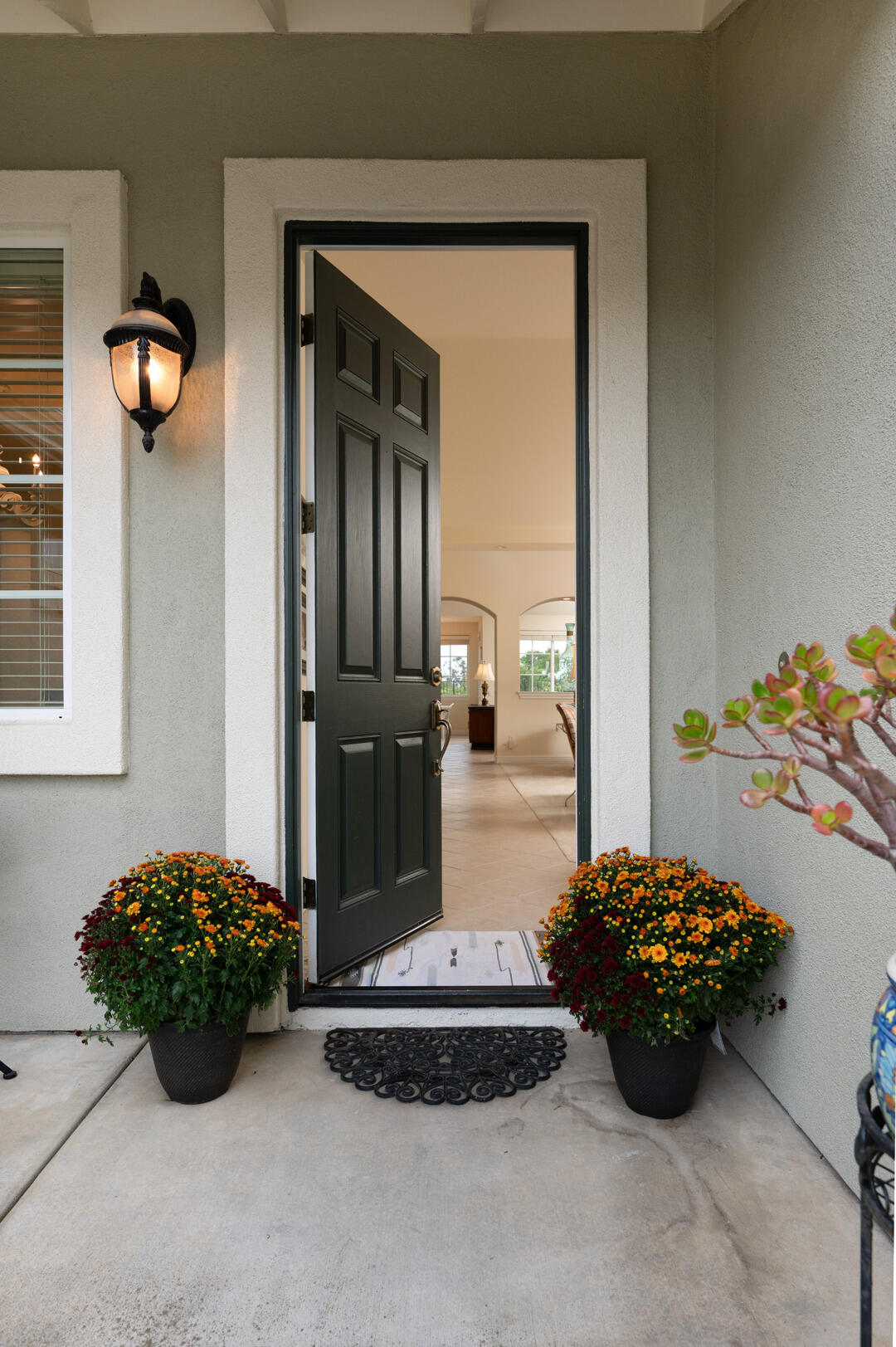 778 Tamarisk