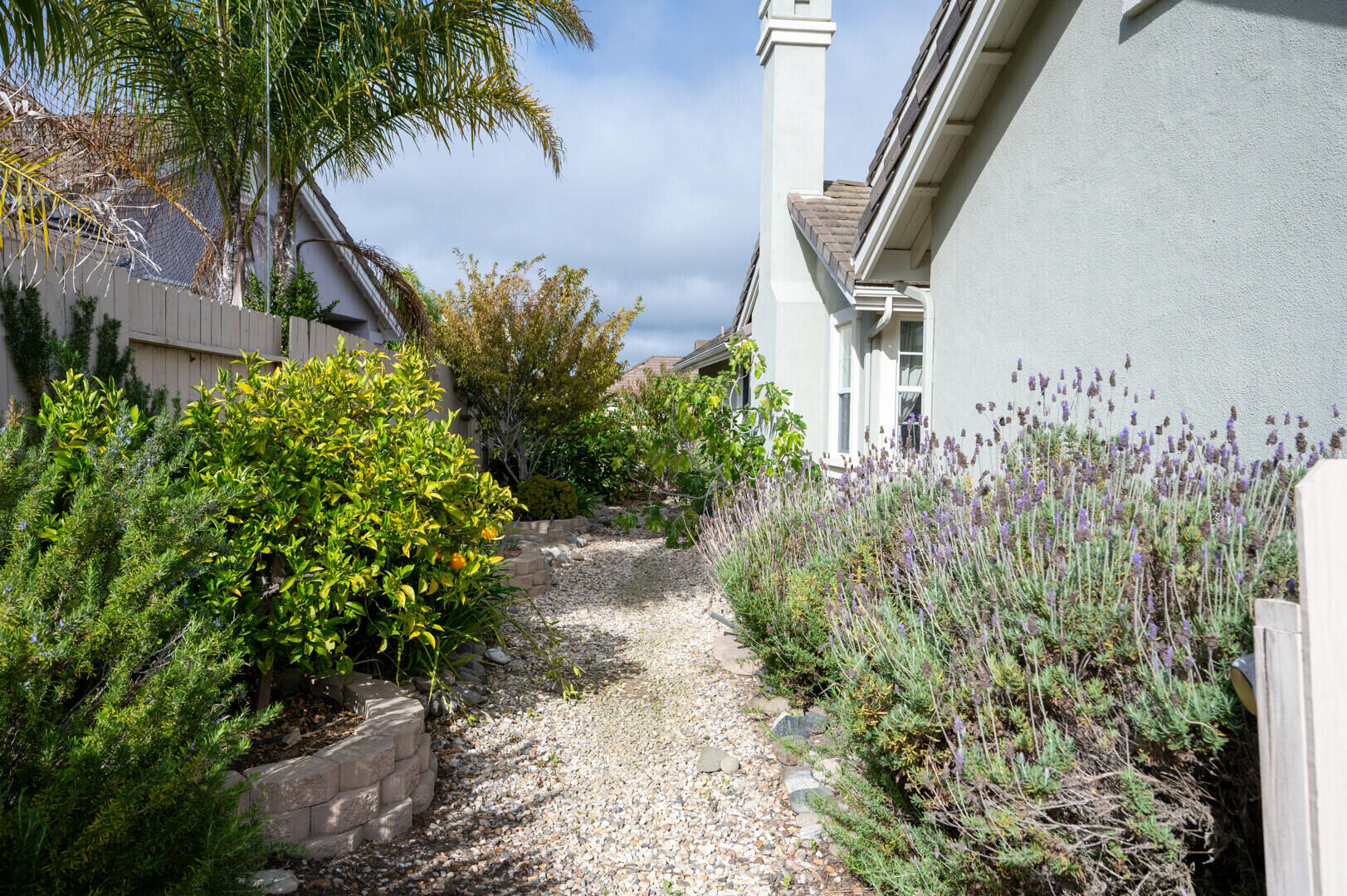 778 Tamarisk