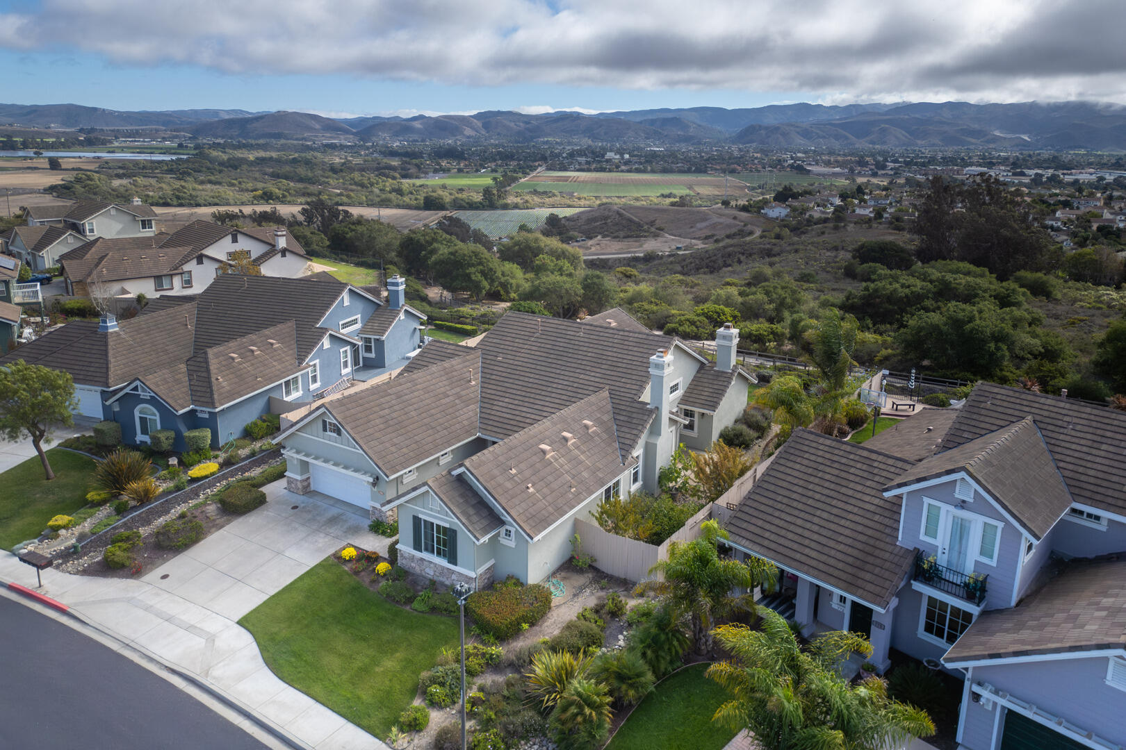 778 Tamarisk