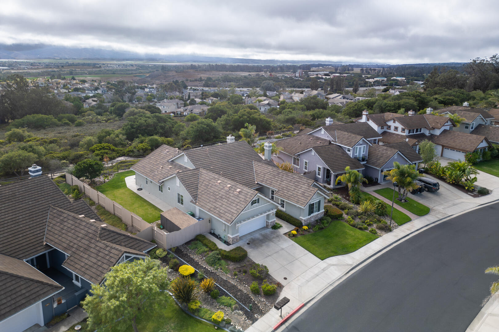 778 Tamarisk