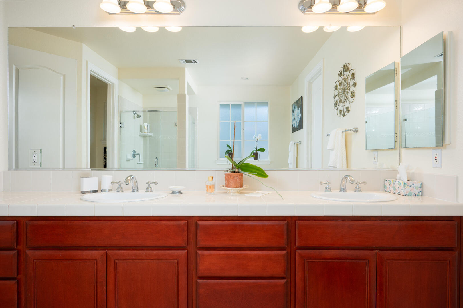 778 Tamarisk