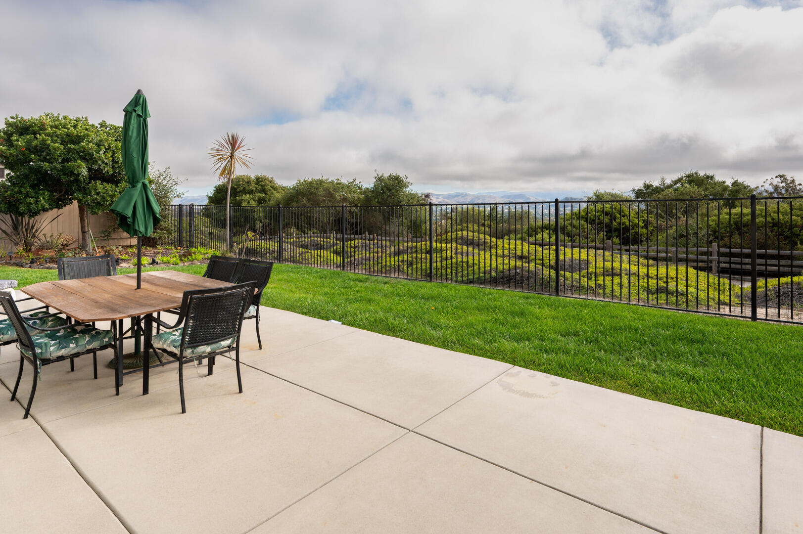 778 Tamarisk