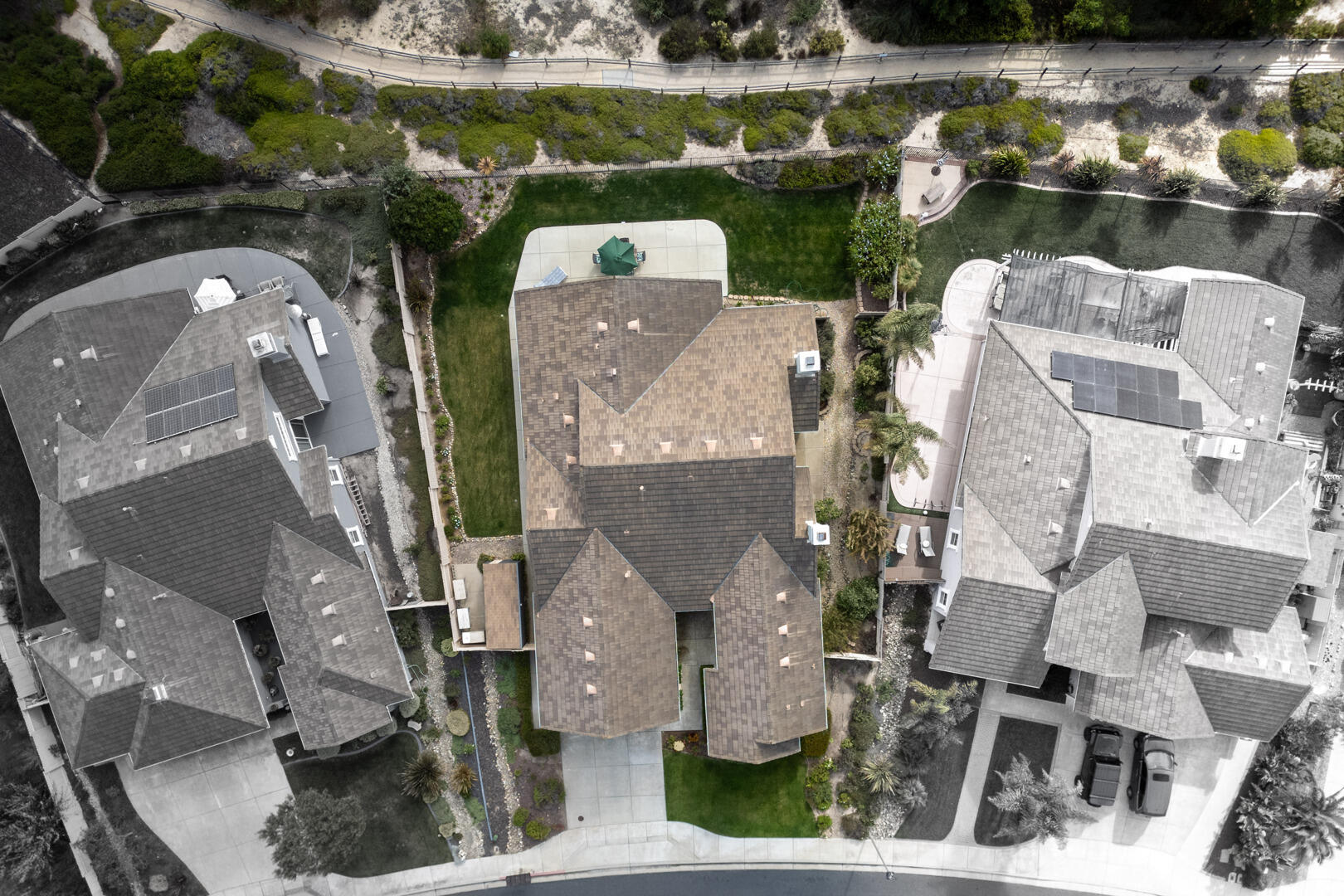 778 Tamarisk