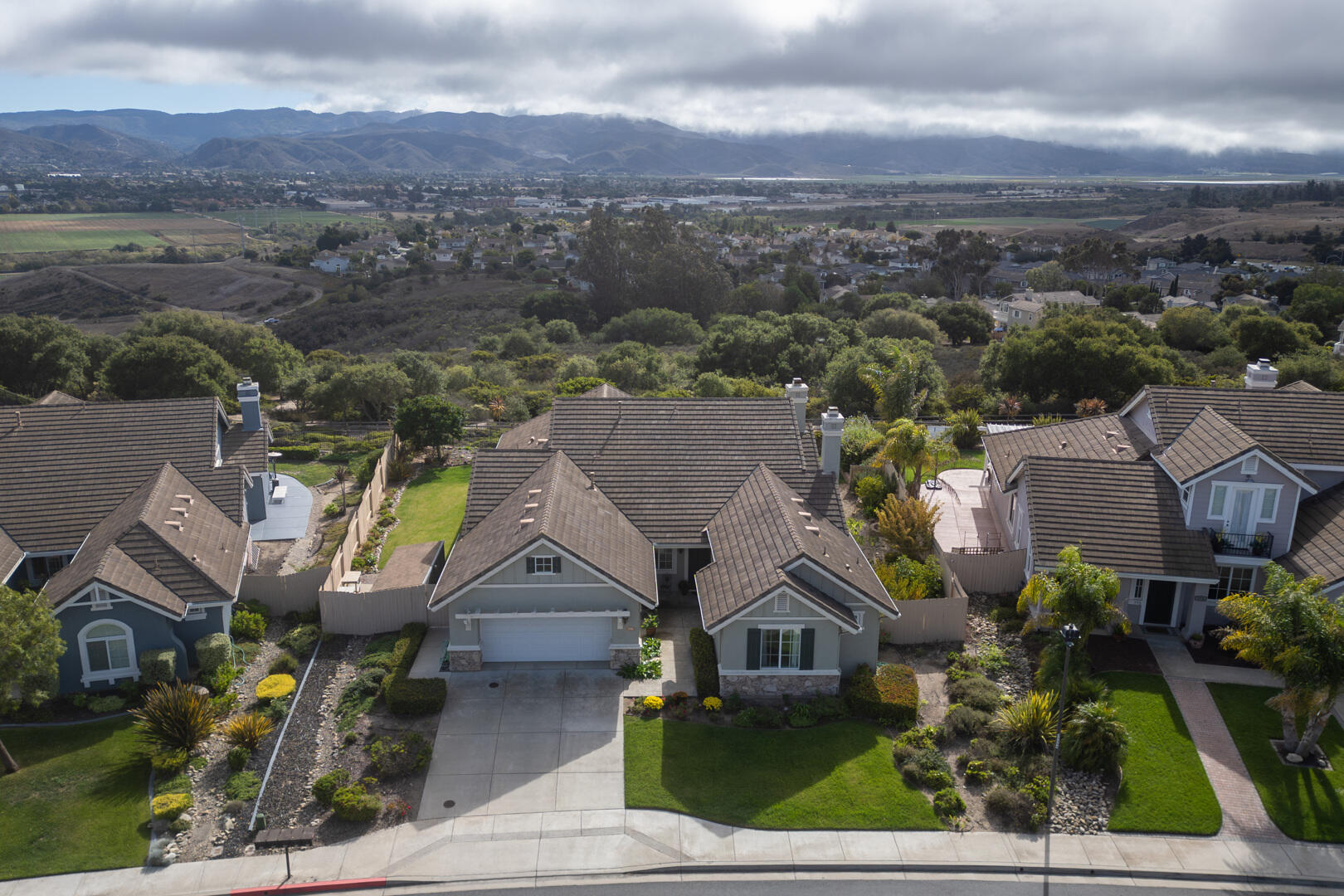 778 Tamarisk