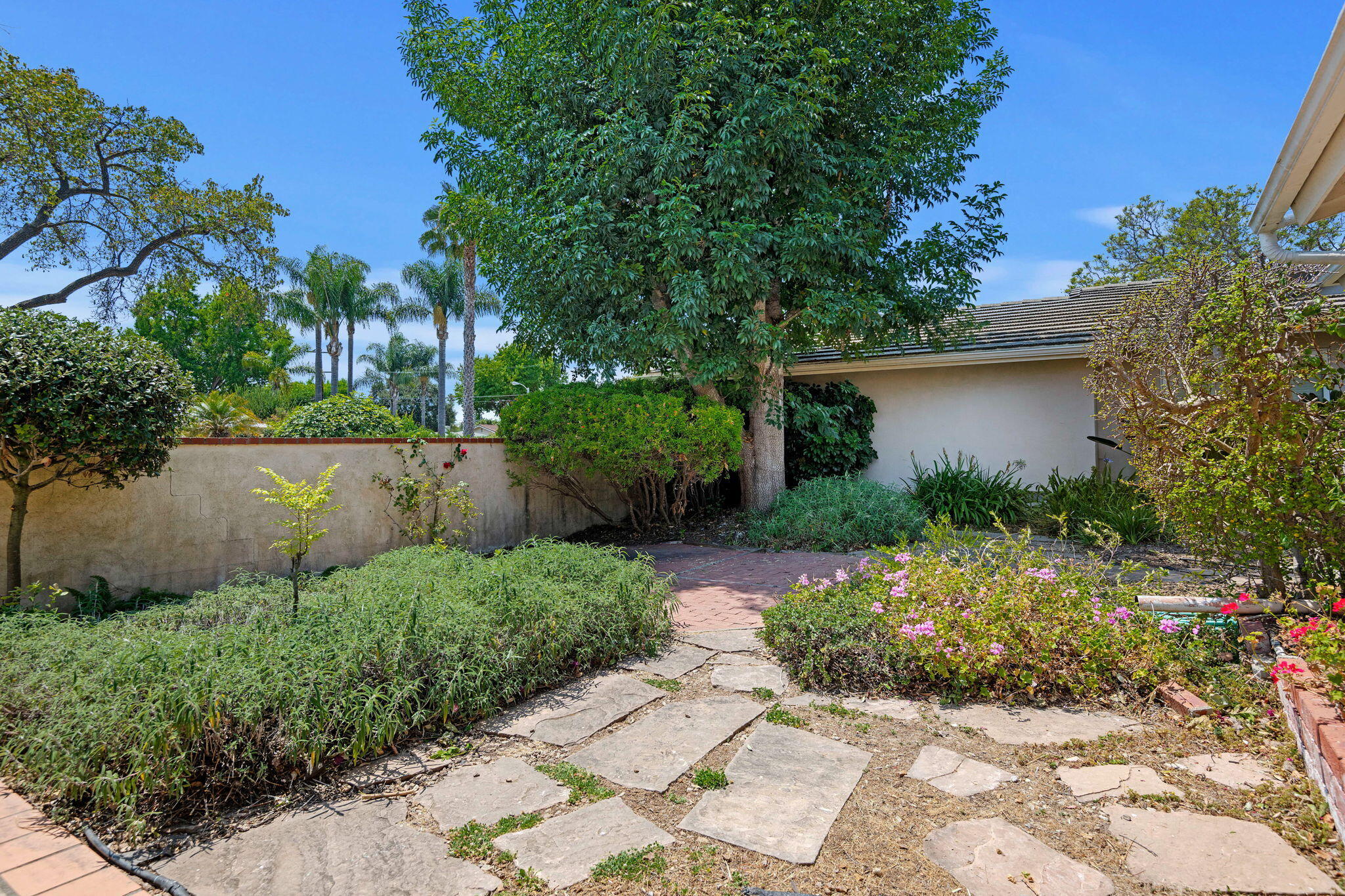 3676 Eileen Way