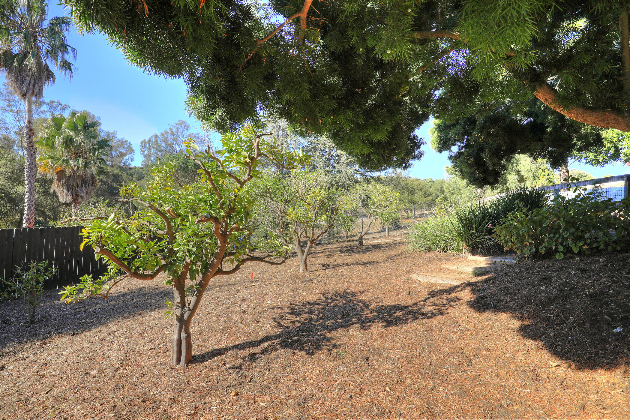 5134 Cathedral Oaks Road