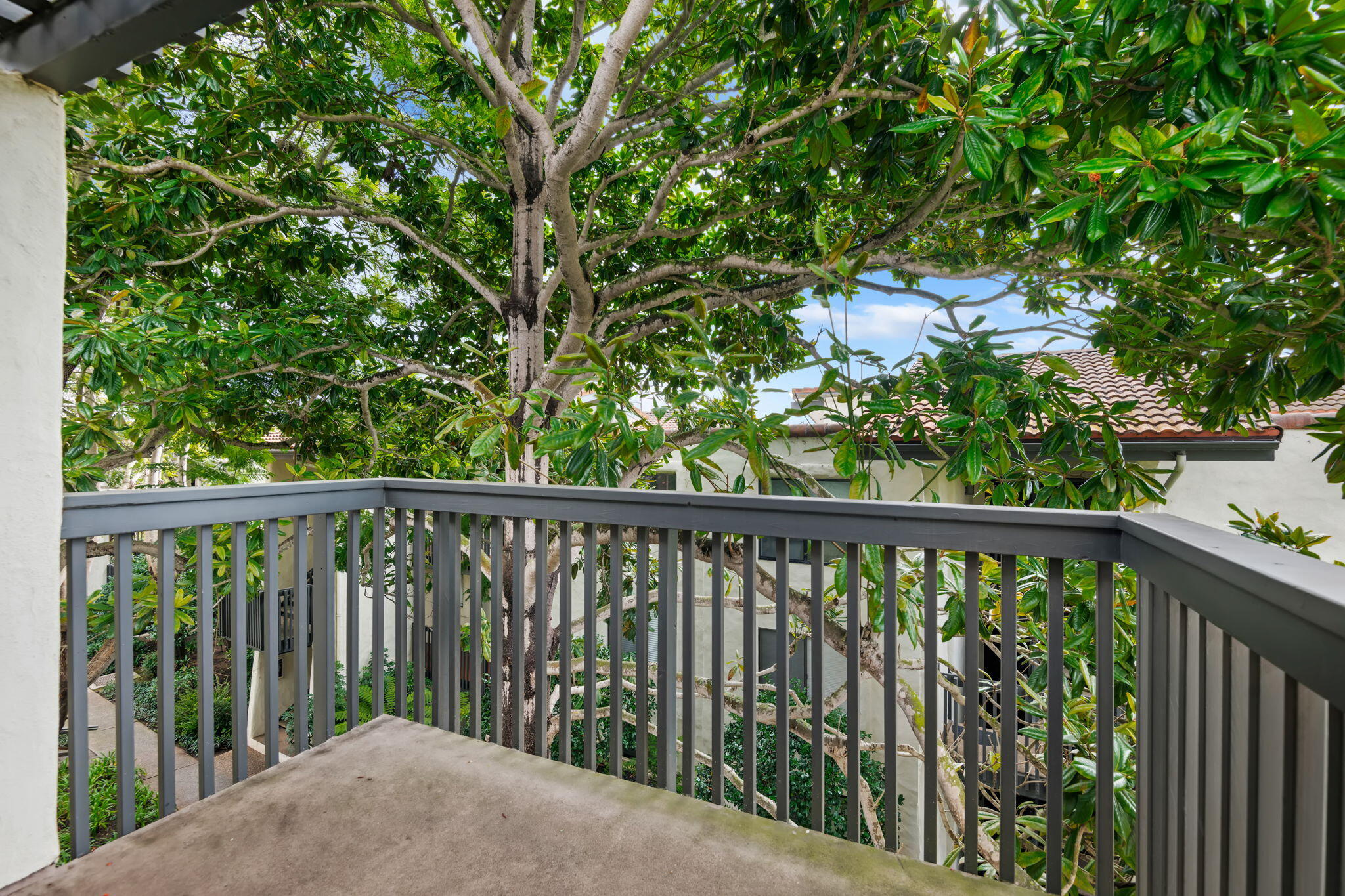 3375 Foothill Road 231