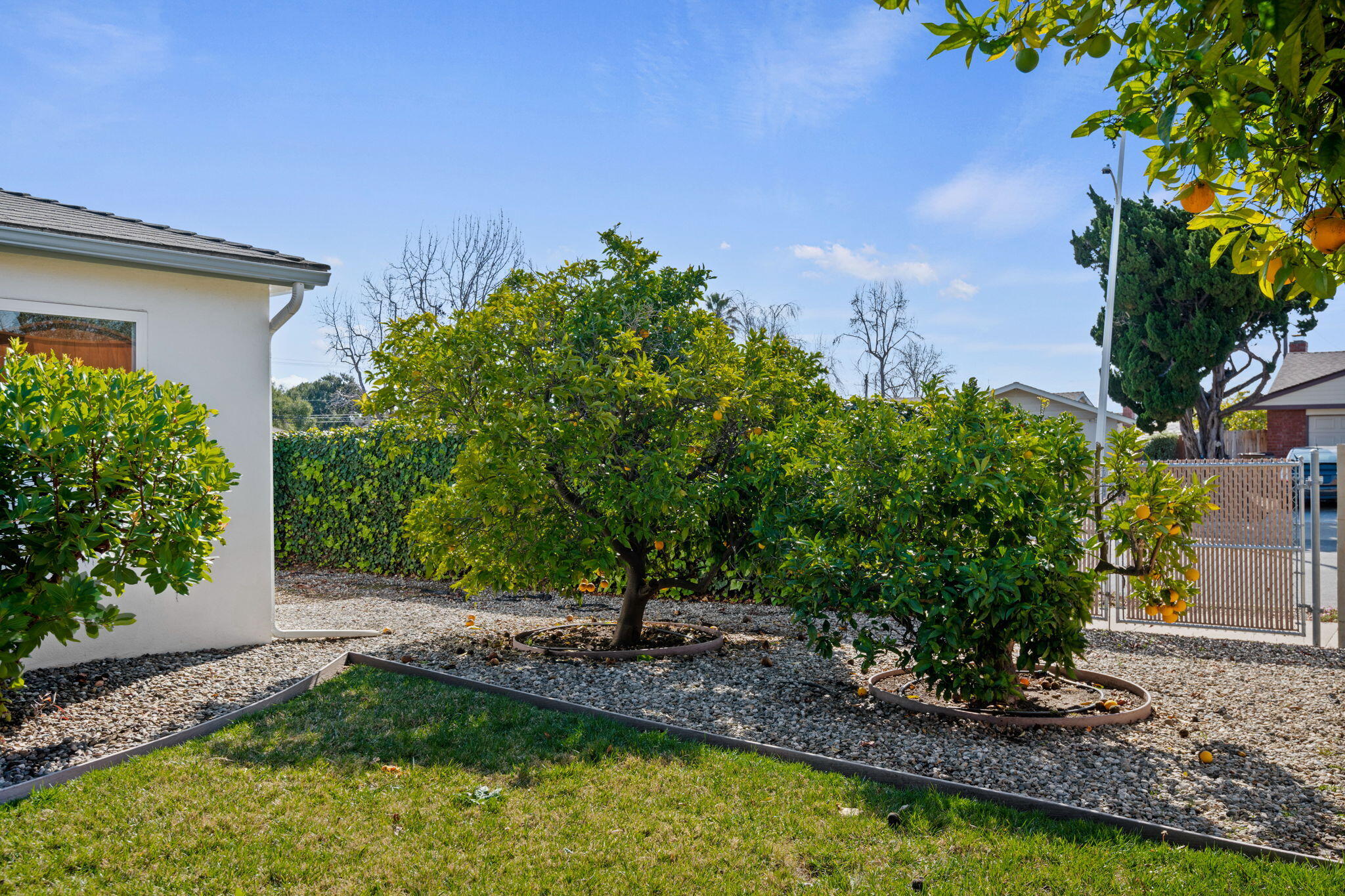 515 Amherst Drive