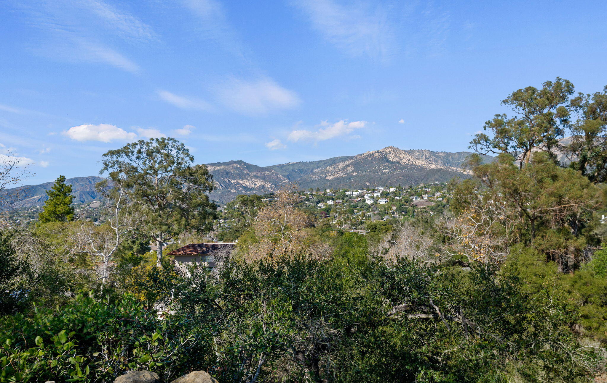 235 Constance Lane