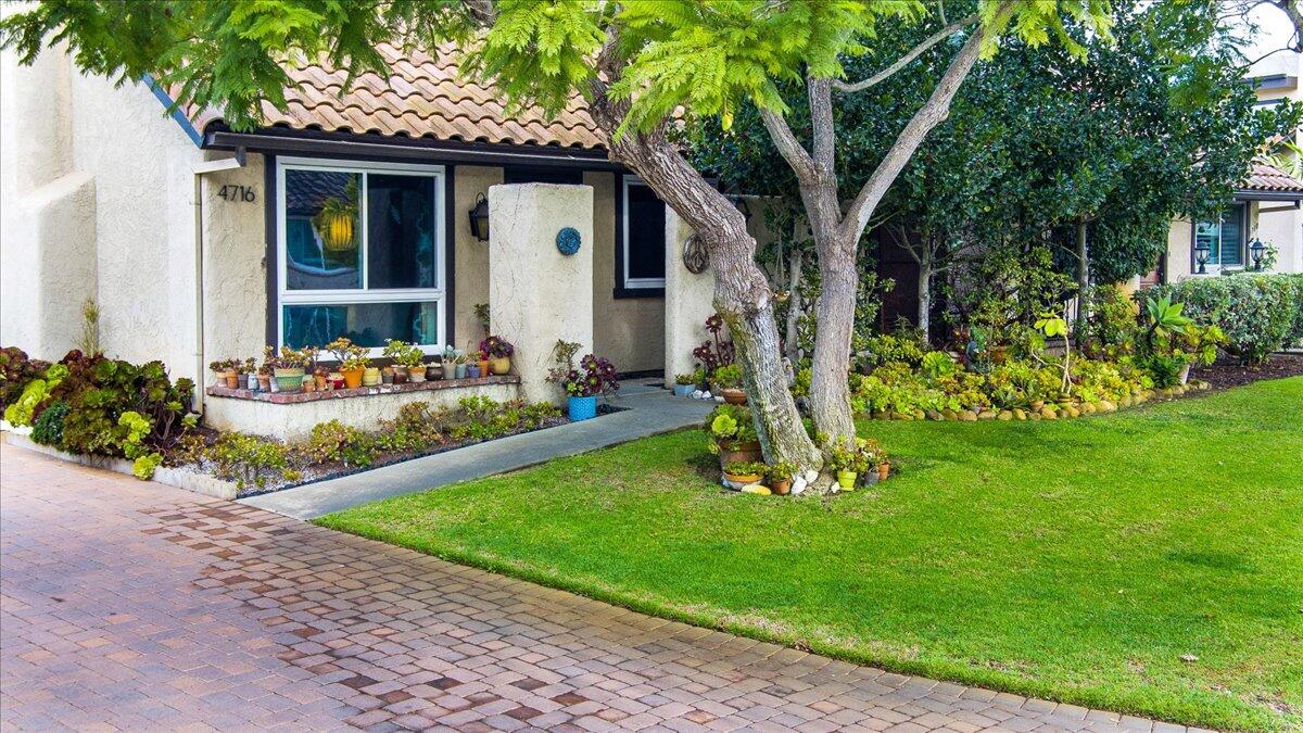 4716 Calle Reina