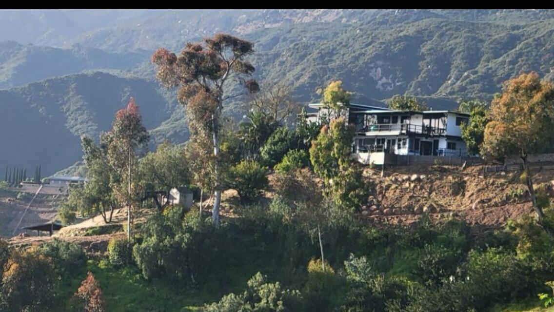 2911 Holly Road