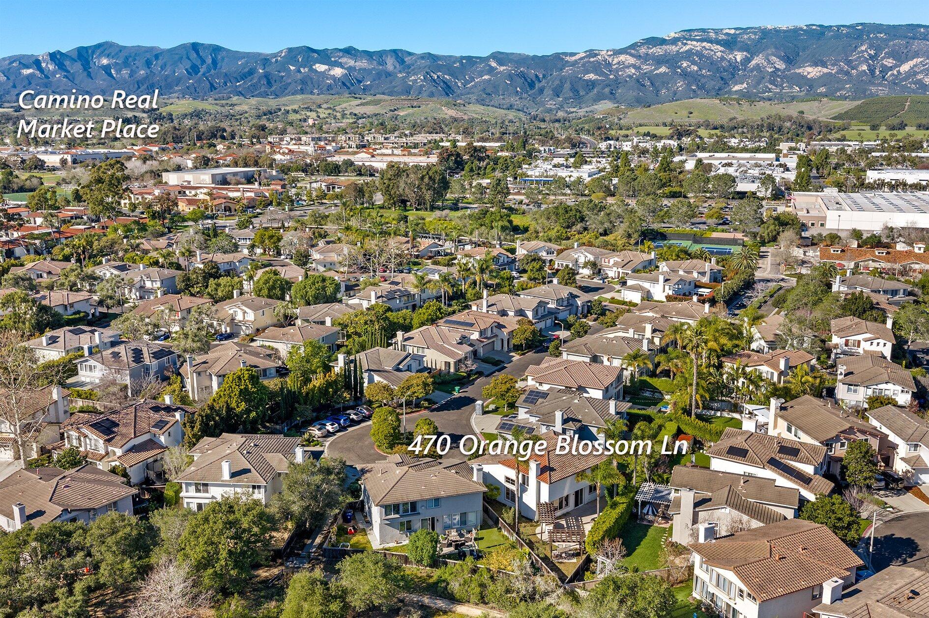 470 Orange Blossom Lane
