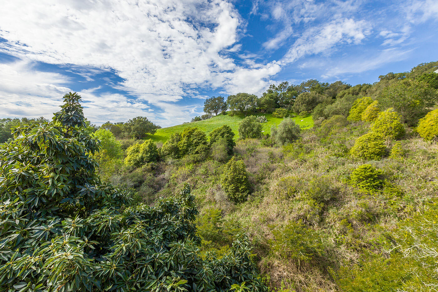 401 Loma Media Road