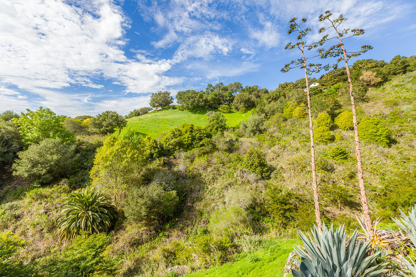 401 Loma Media Road