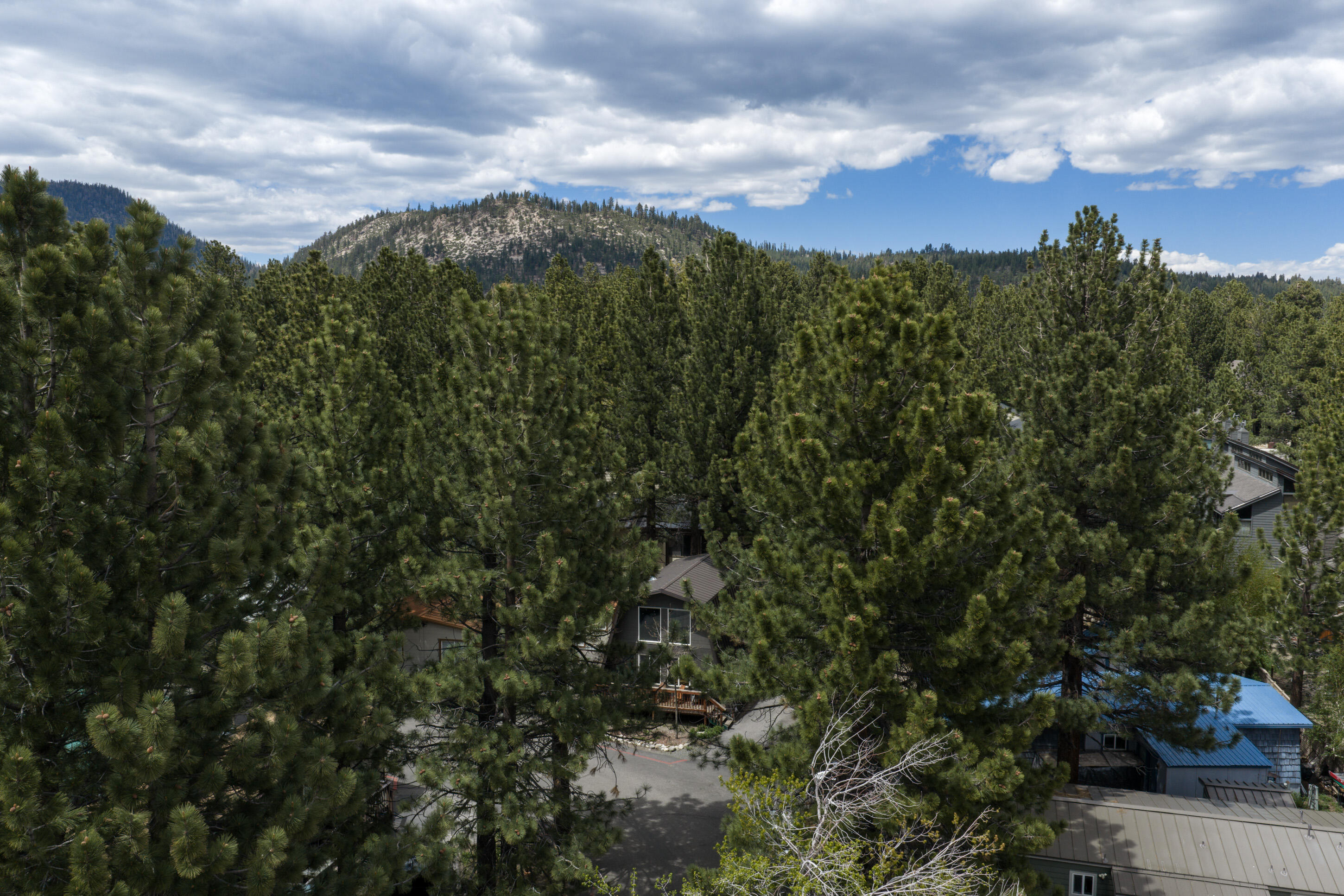 200 Azimuth Drive 26