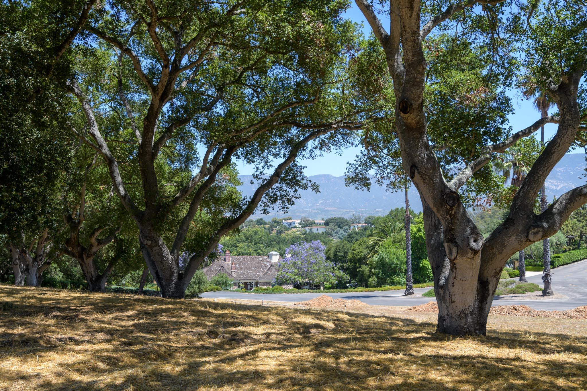 3981 Laguna Blanca Drive