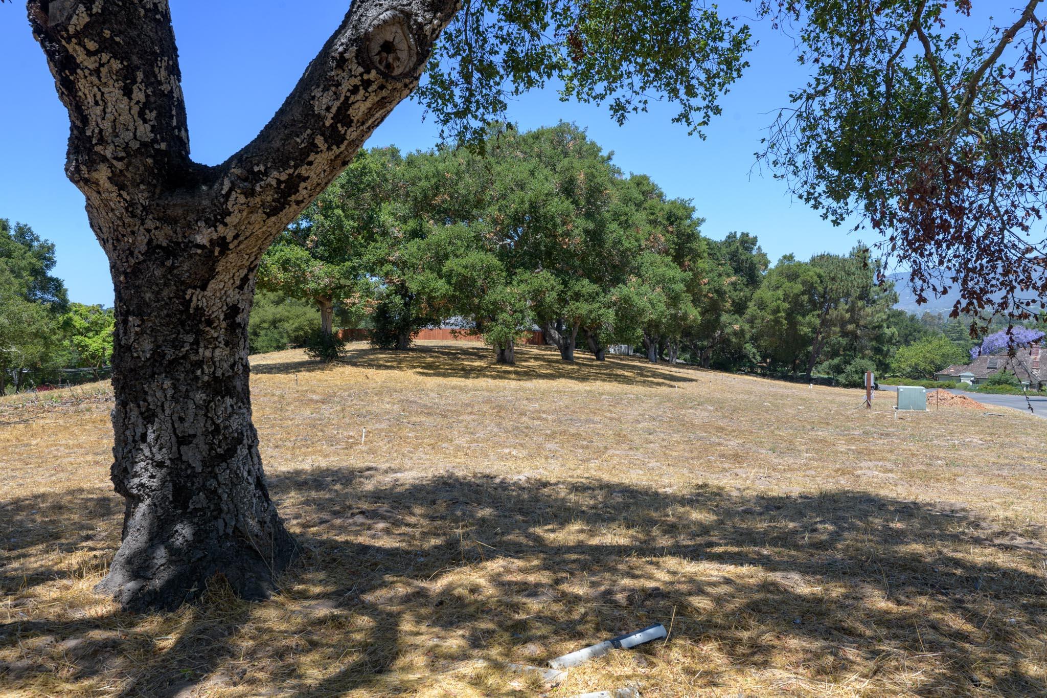 3981 Laguna Blanca Drive
