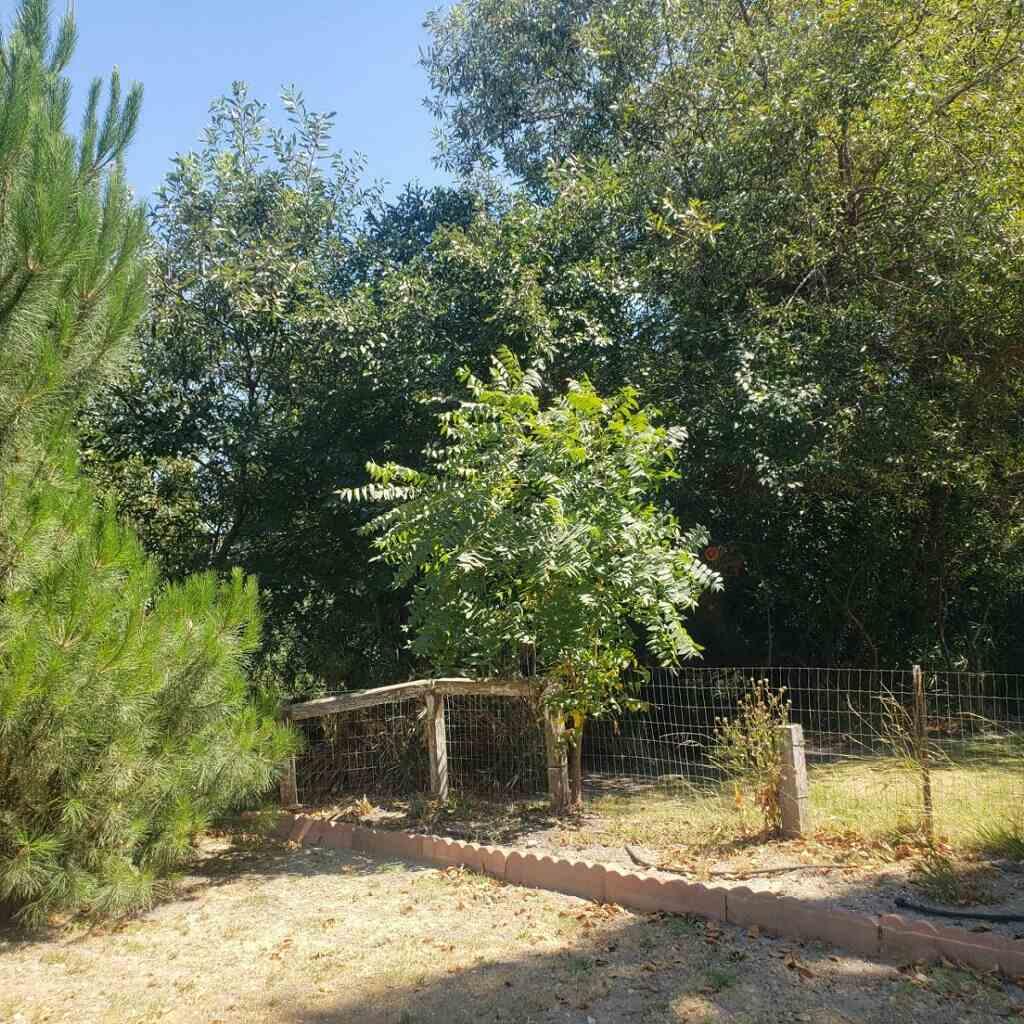 80 Zaca Street Spc 6