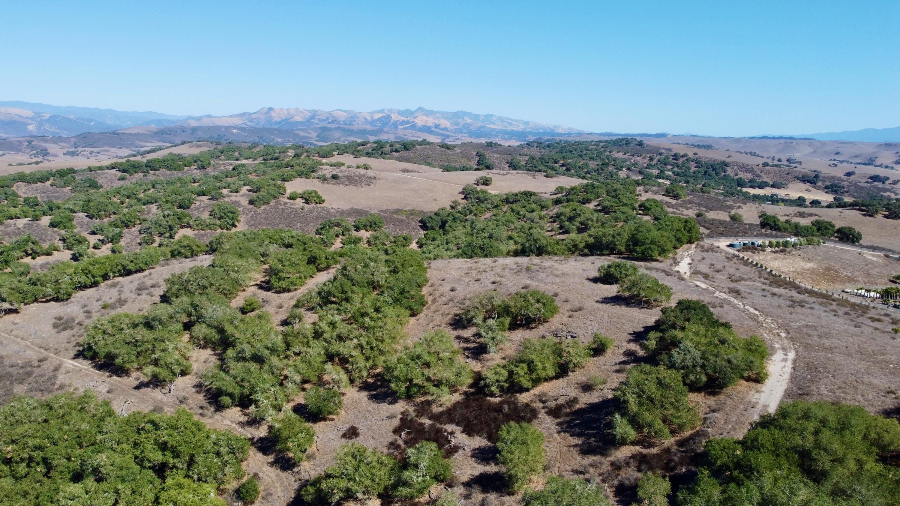 03 Long Canyon Road