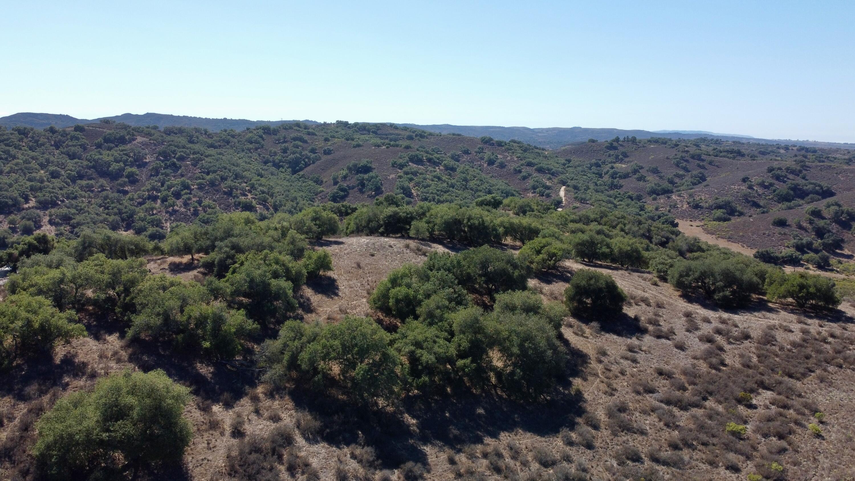 01 Long Canyon Road