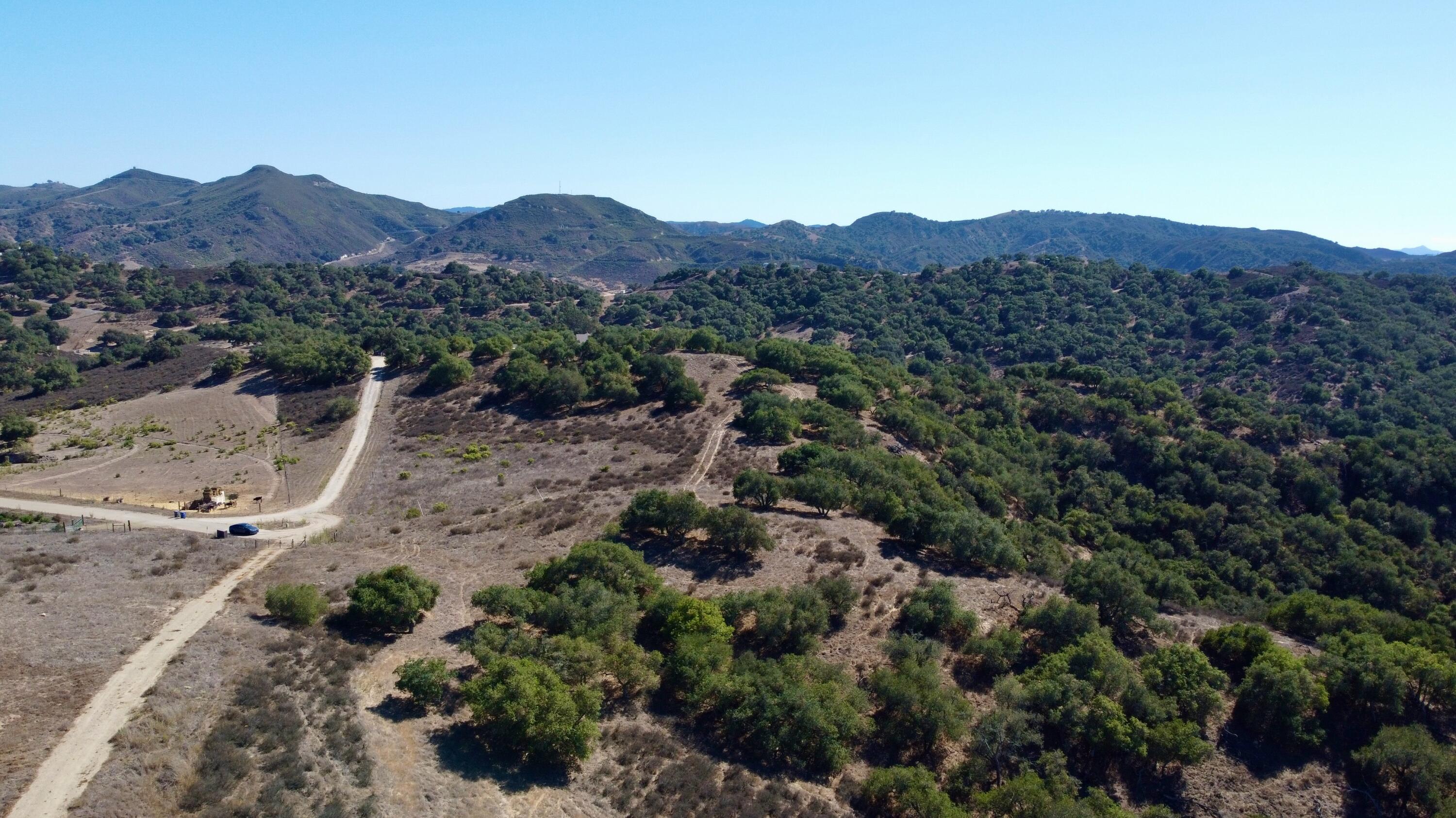 01 Long Canyon Road