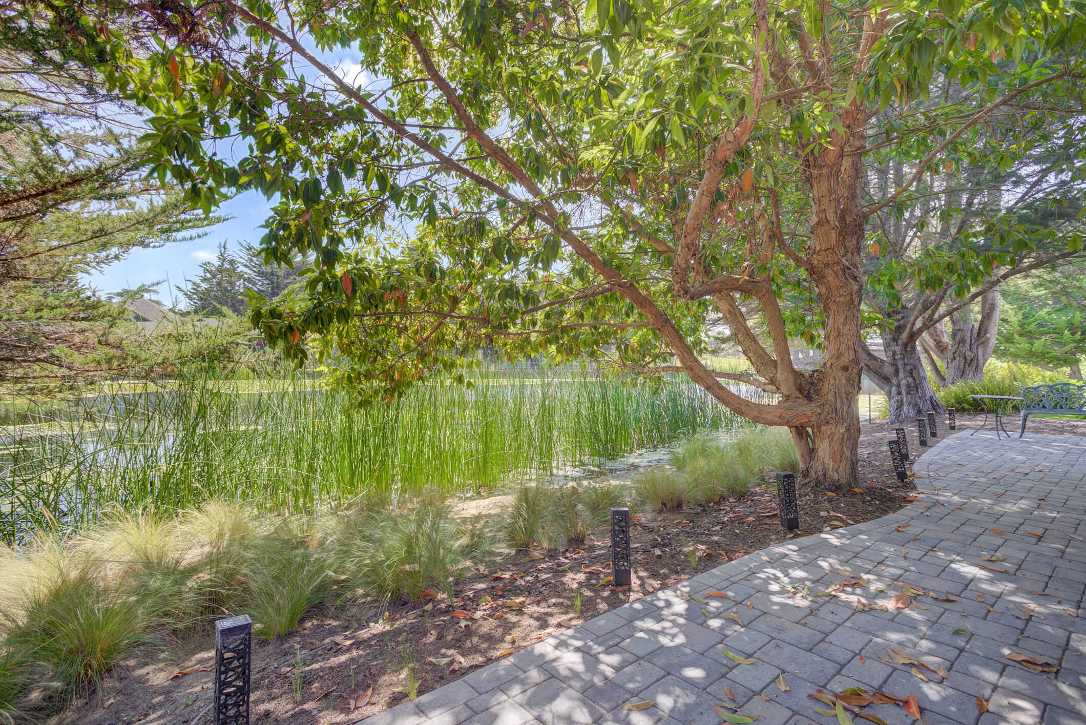2303 Sanderling Court