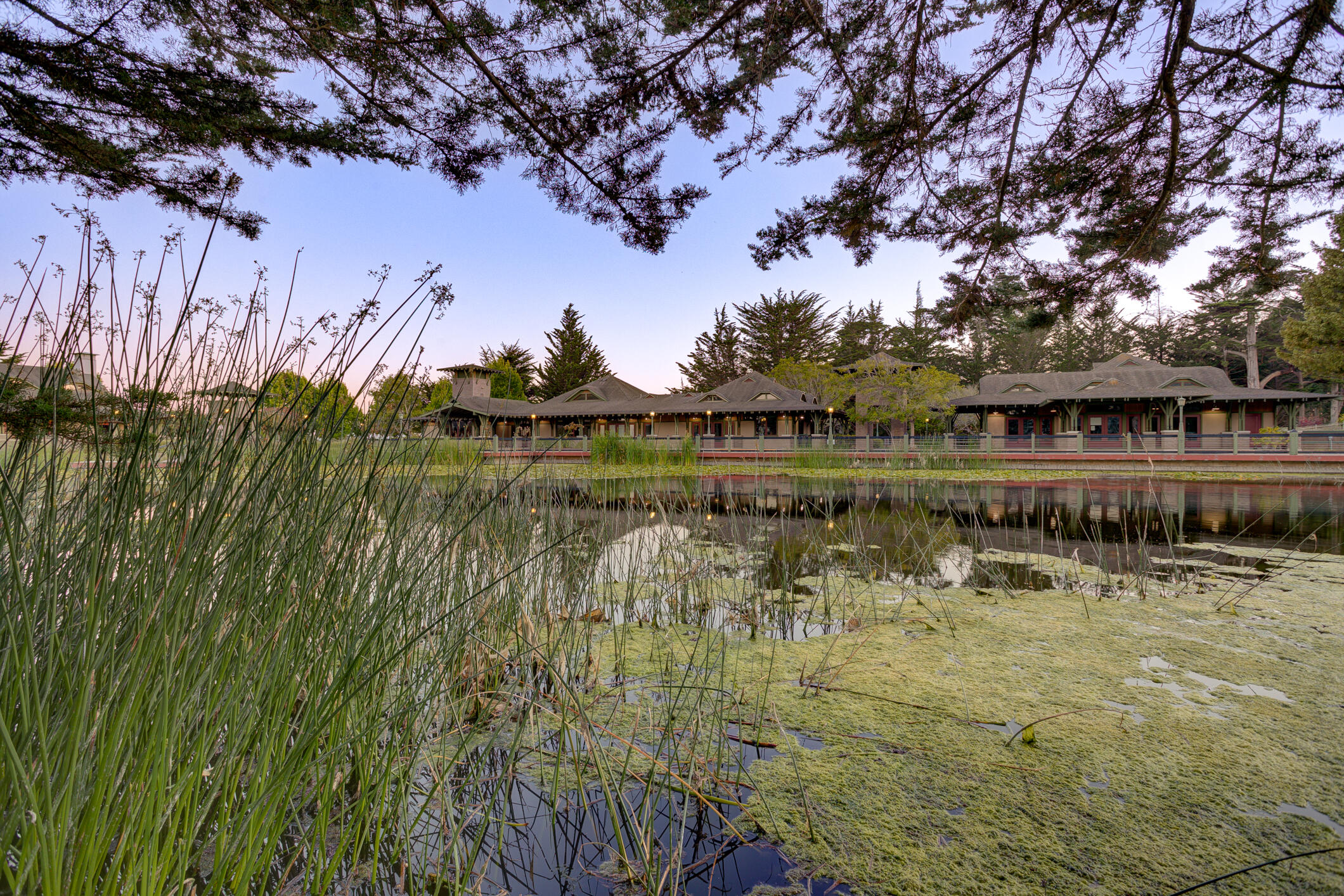 2303 Sanderling Court
