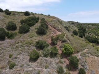744 Vereda Del Ciervo
