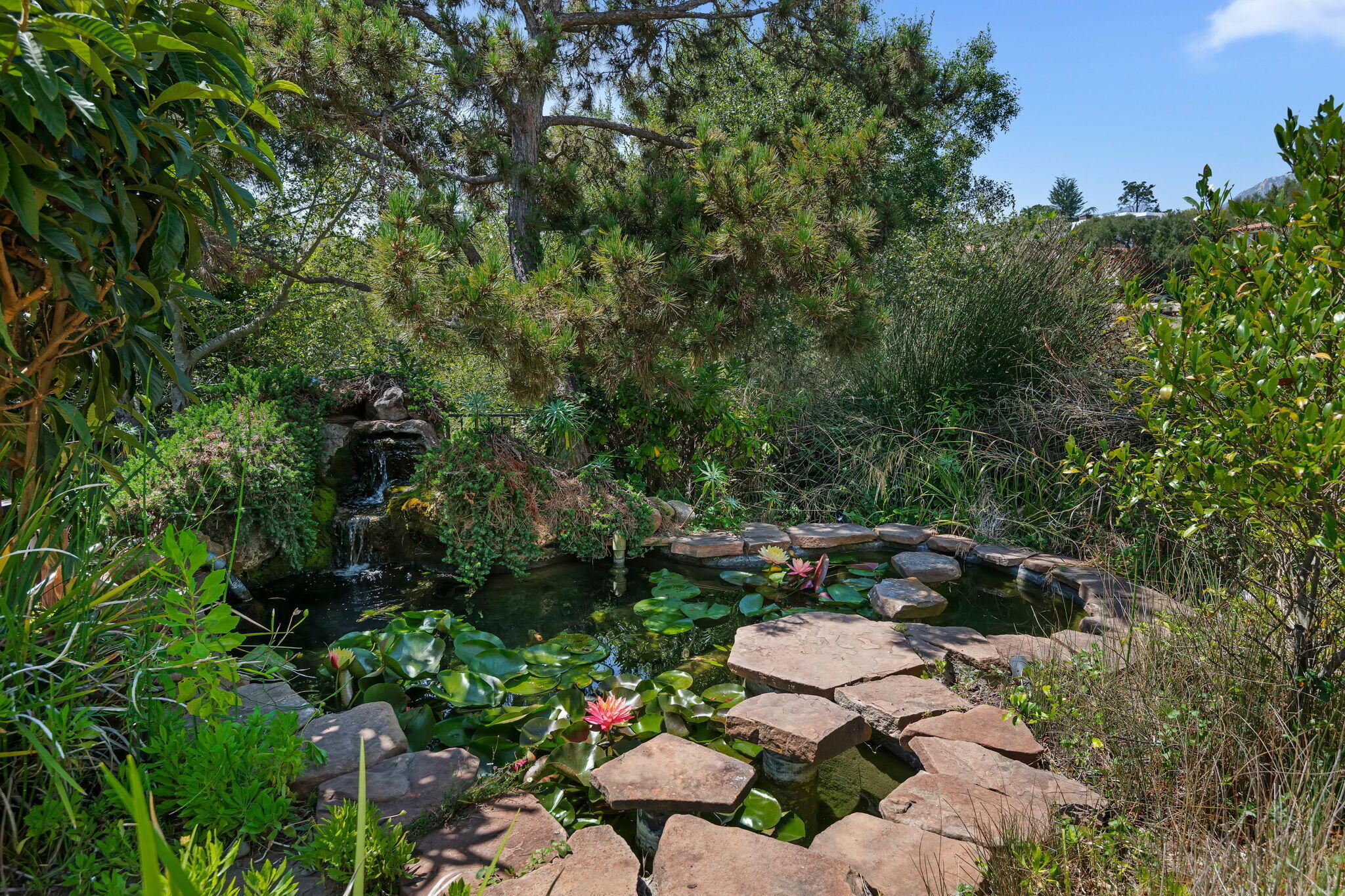 1021 Las Alturas Road