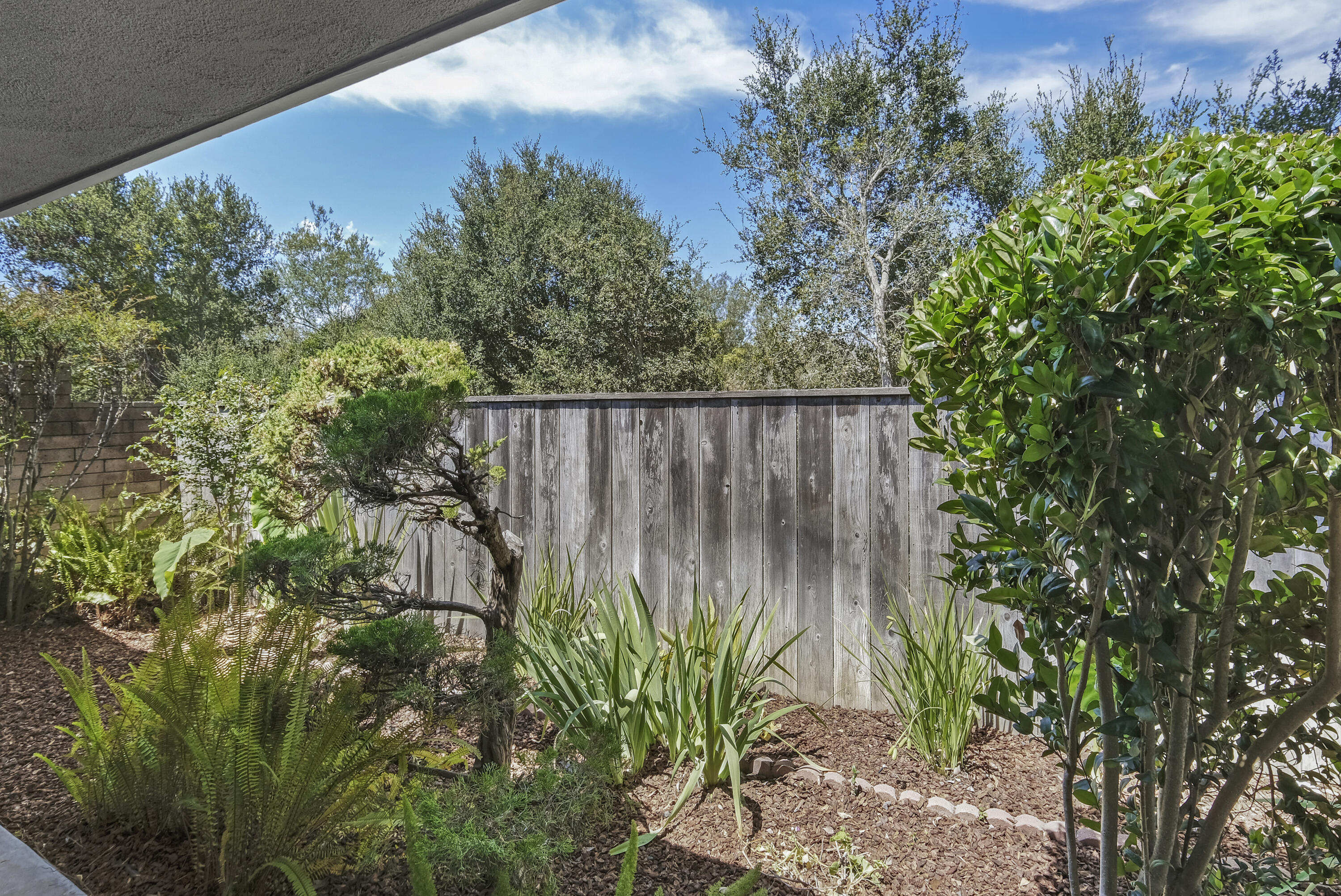 4550 Carriage Hill Drive