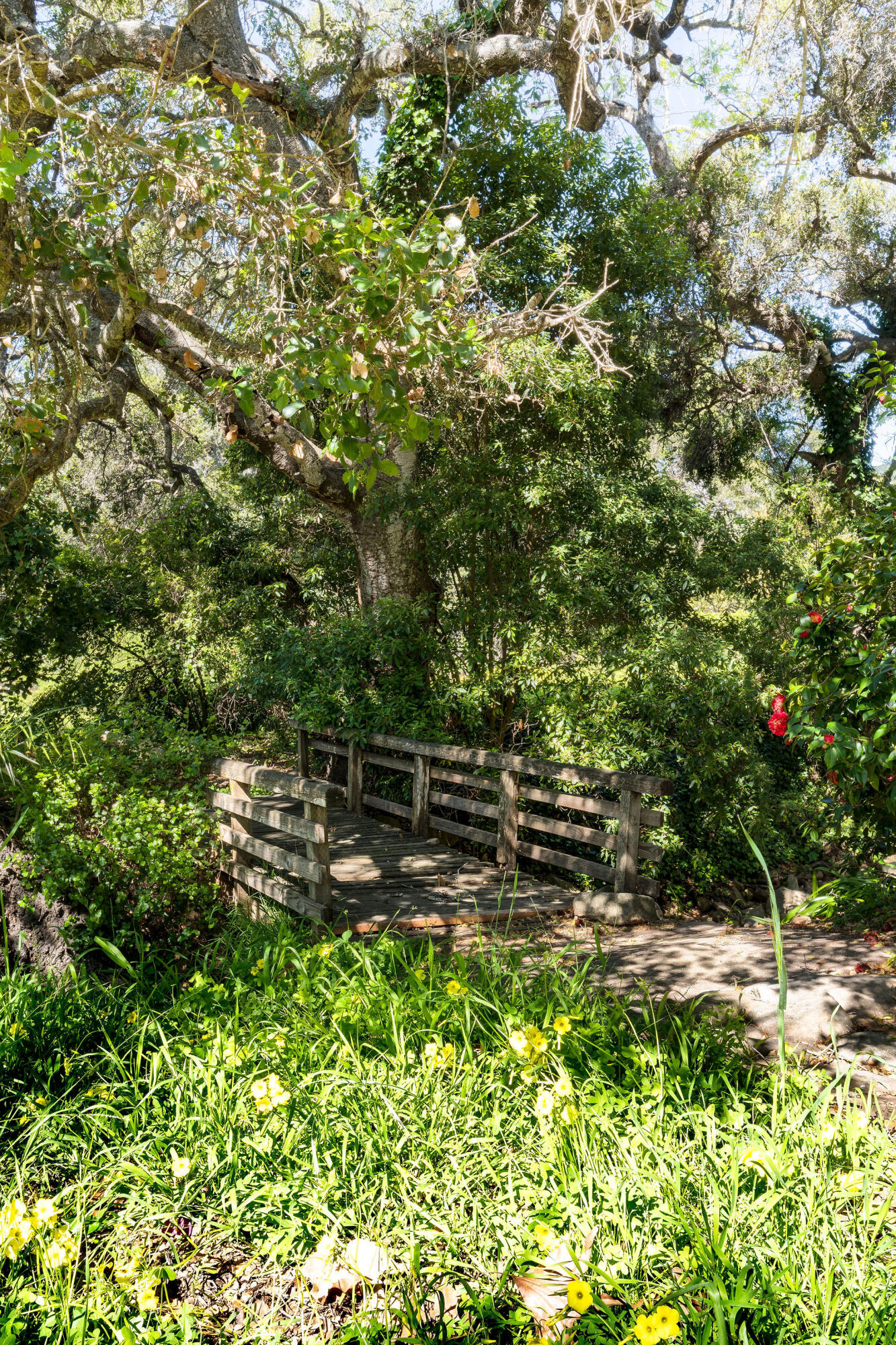 633 Tabor Lane