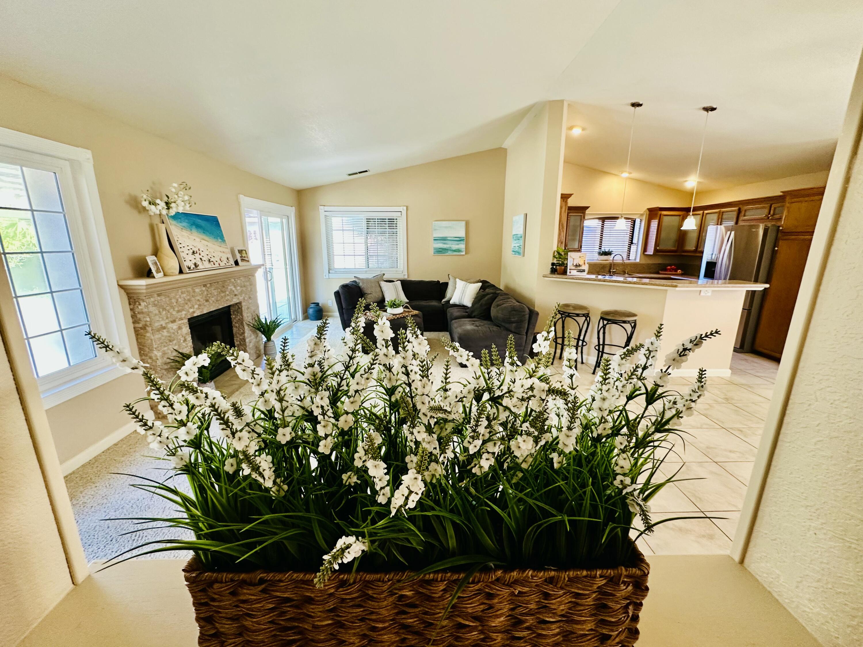4329 Meadow Drive