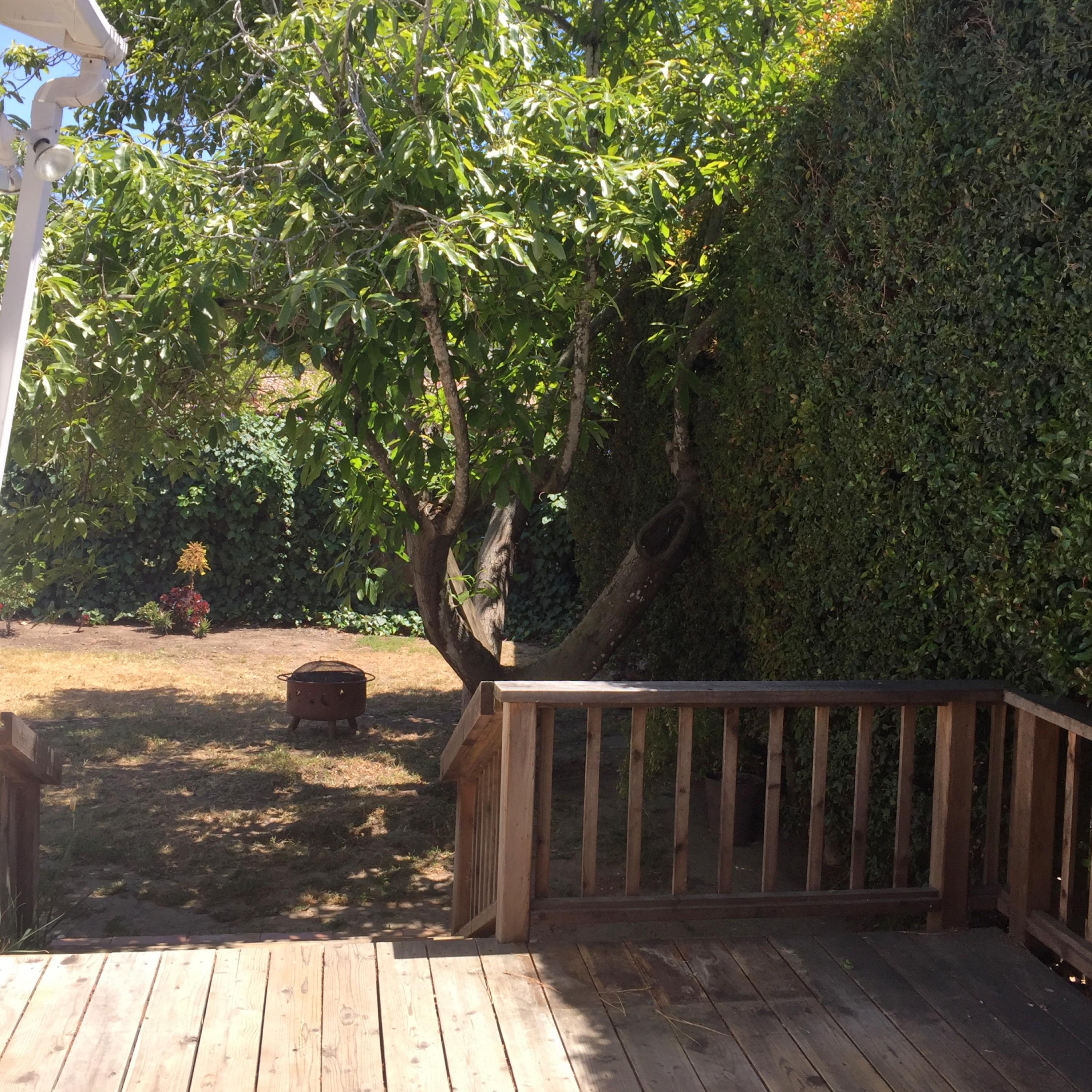 SANTA BARBARA