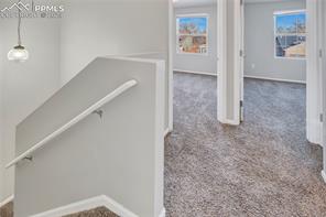595 Winebrook Way