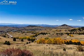 316 Florissant Street