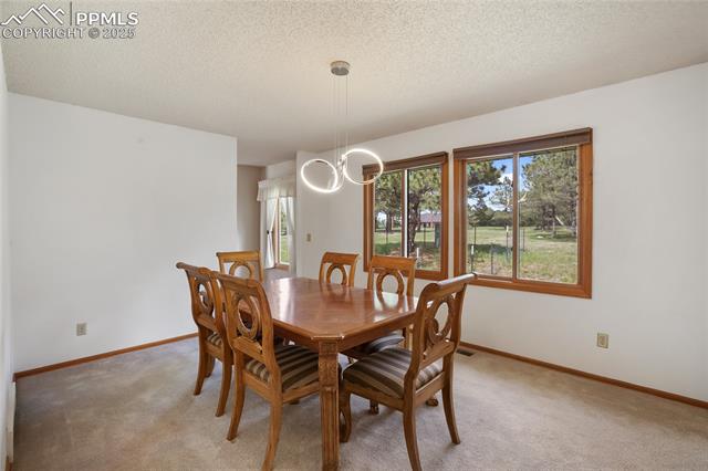 390 E Stirrup Trail