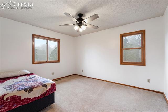 390 E Stirrup Trail