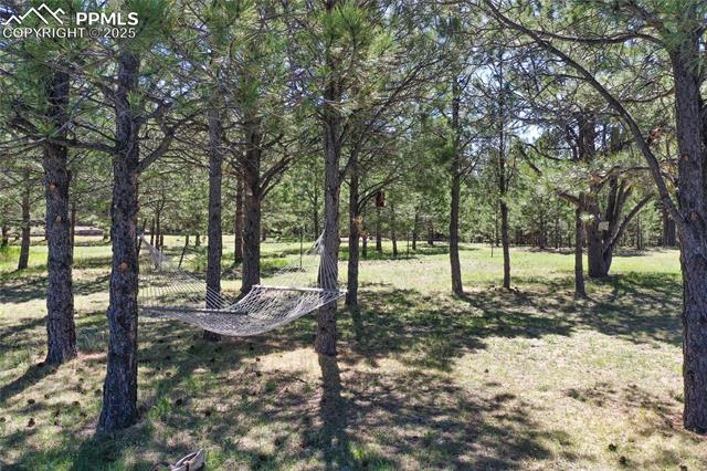 390 E Stirrup Trail