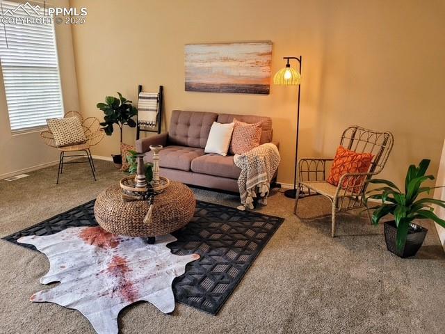 10526 Country Park Point