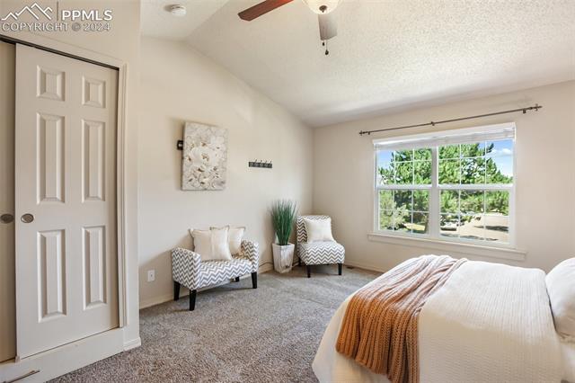3423 Queen Anne Way
